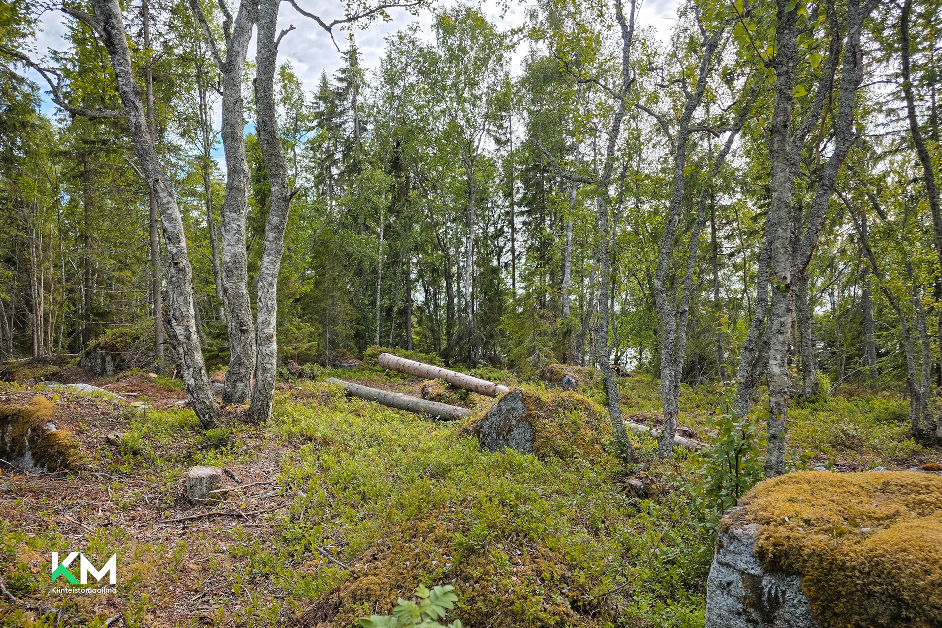 Byrkholmen, Larsmo skärgård, Larsmo