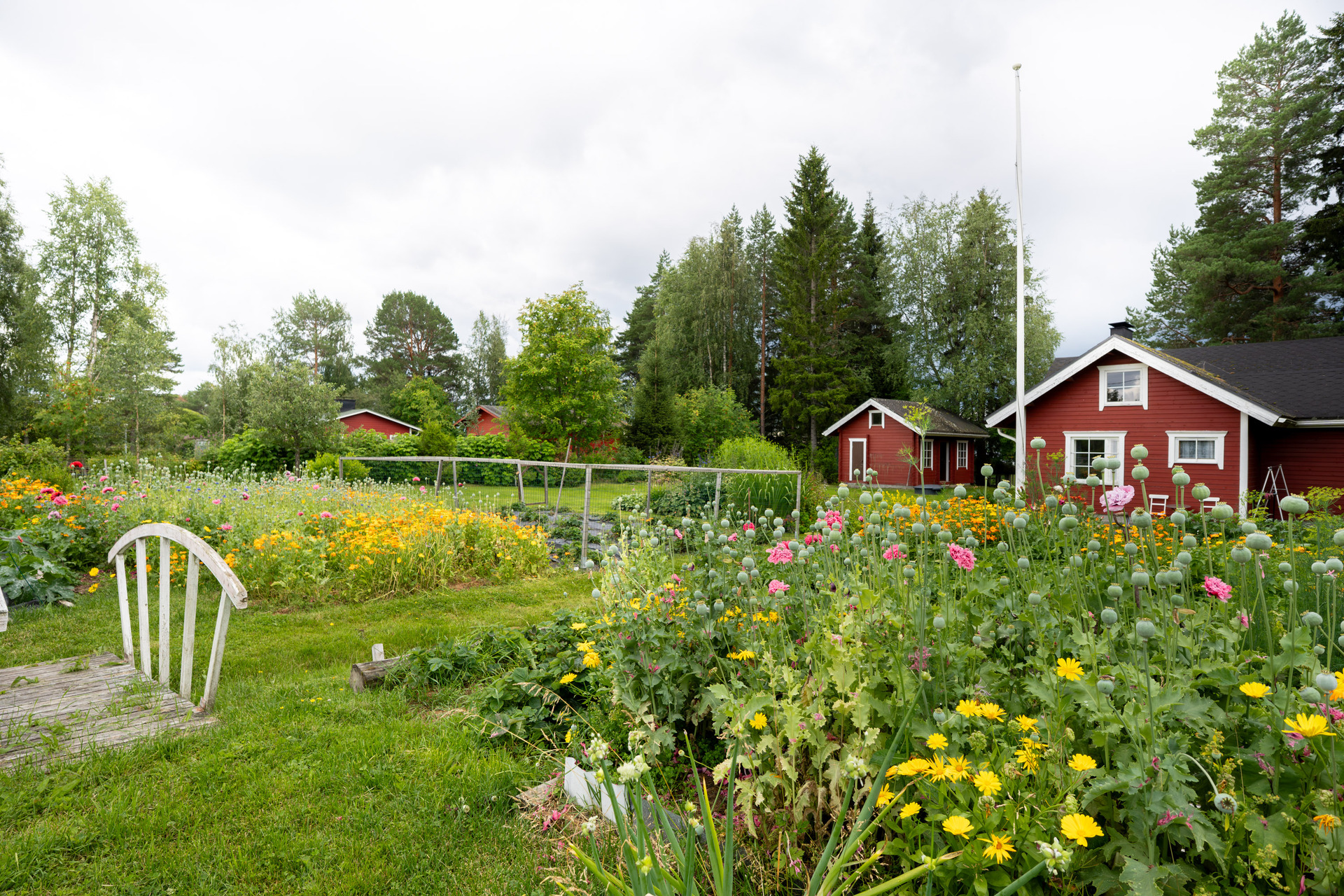 Vuoreslahdentie 3073b, Vuoreslahti, Kajaani