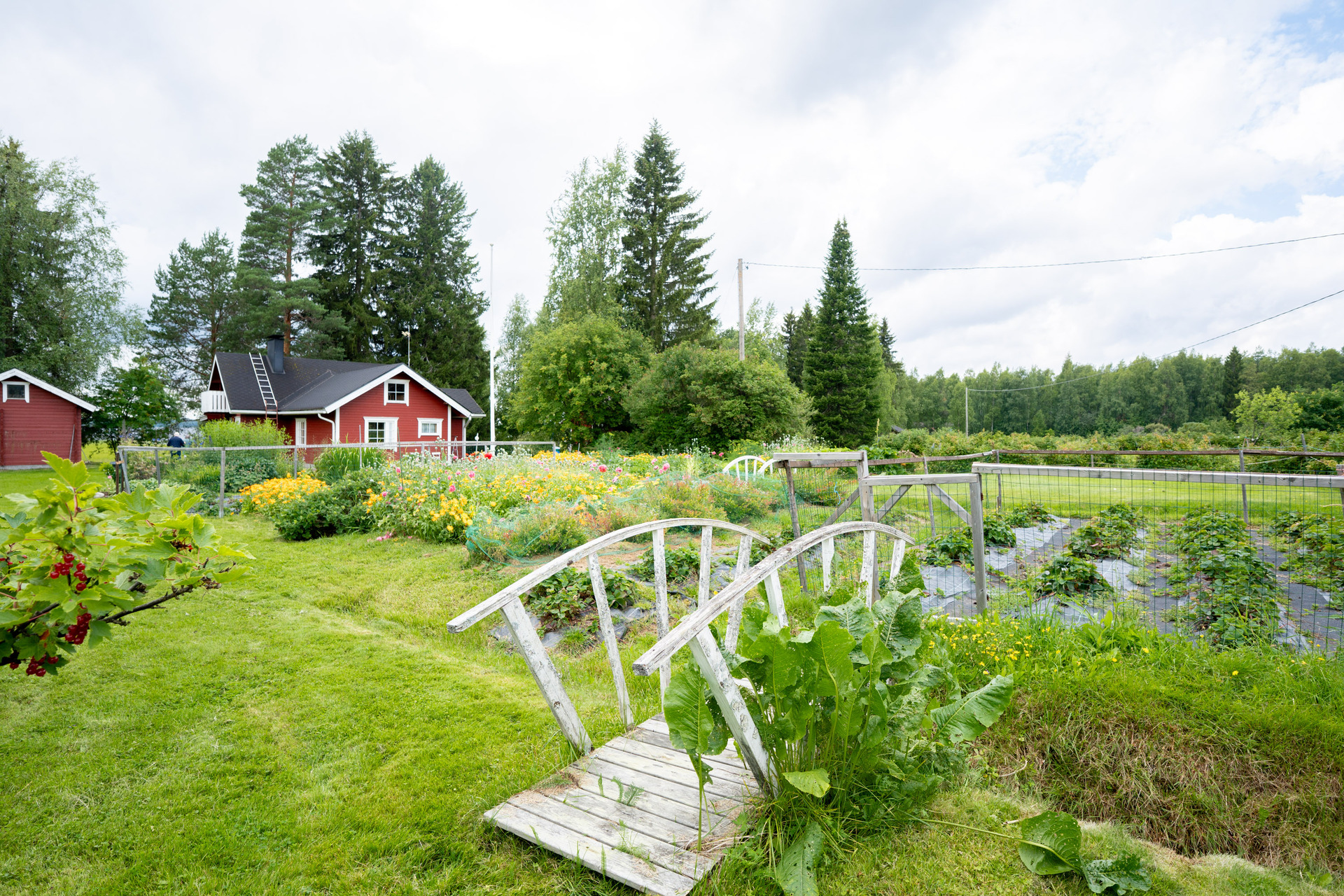 Vuoreslahdentie 3073b, Vuoreslahti, Kajaani