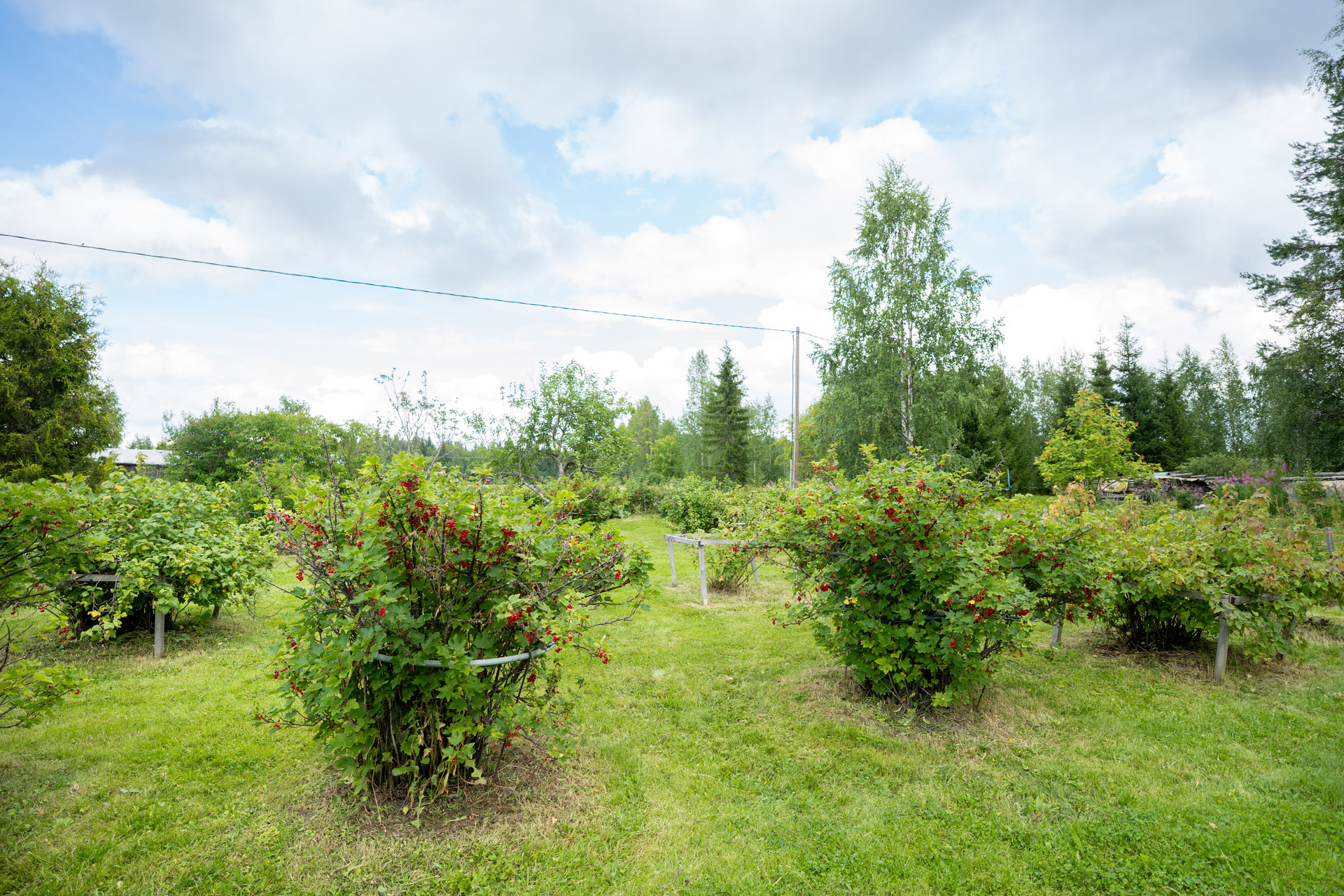 Vuoreslahdentie 3073b, Vuoreslahti, Kajaani