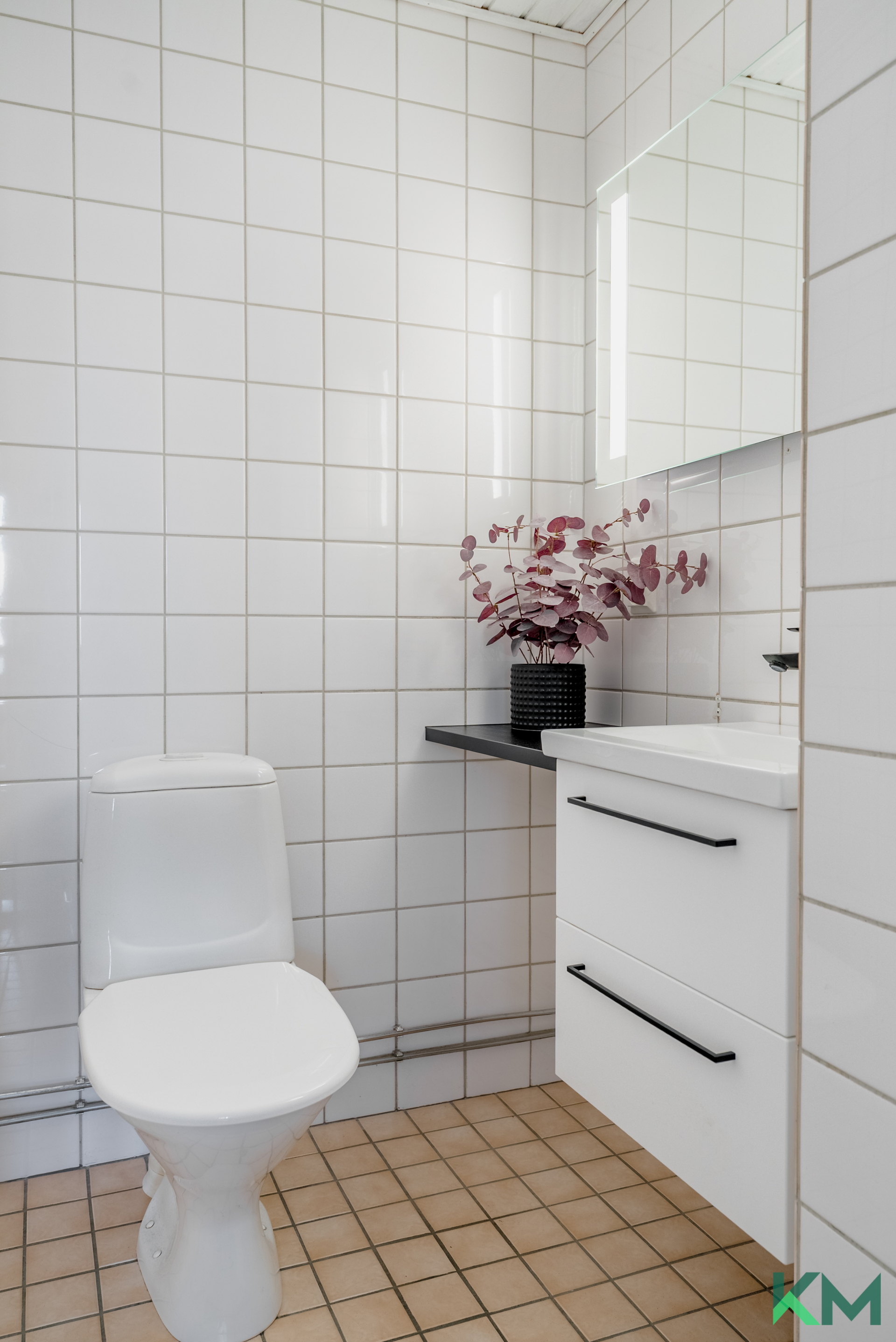 Erillinen wc