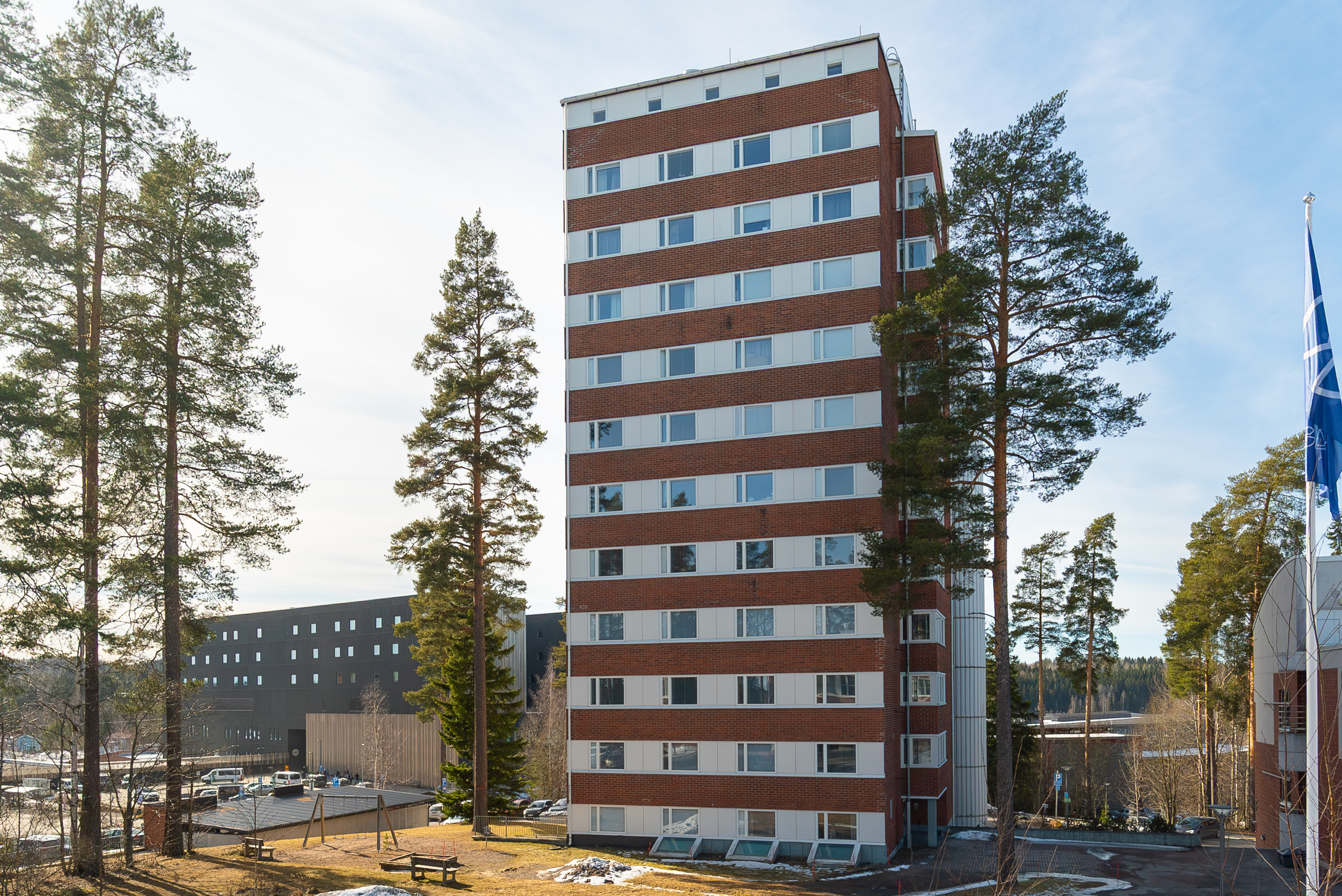 Hoitajantie 4, Jyväskylä