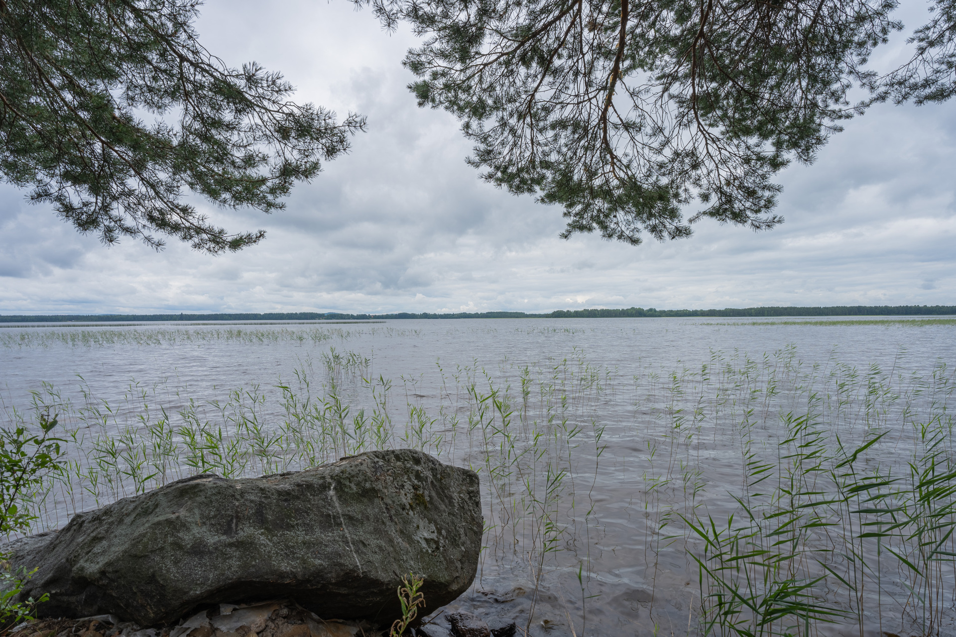 Tallitie 67, Vaajasalmi, Rautalampi