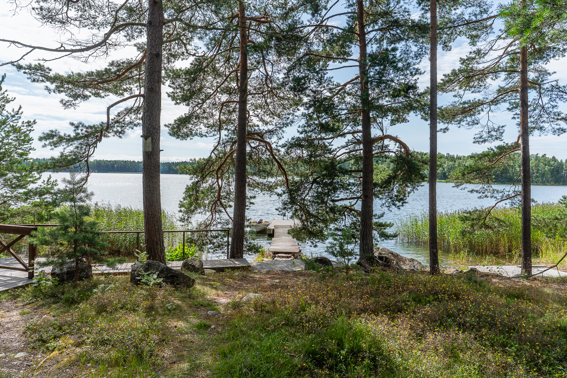 Suojaisa ranta