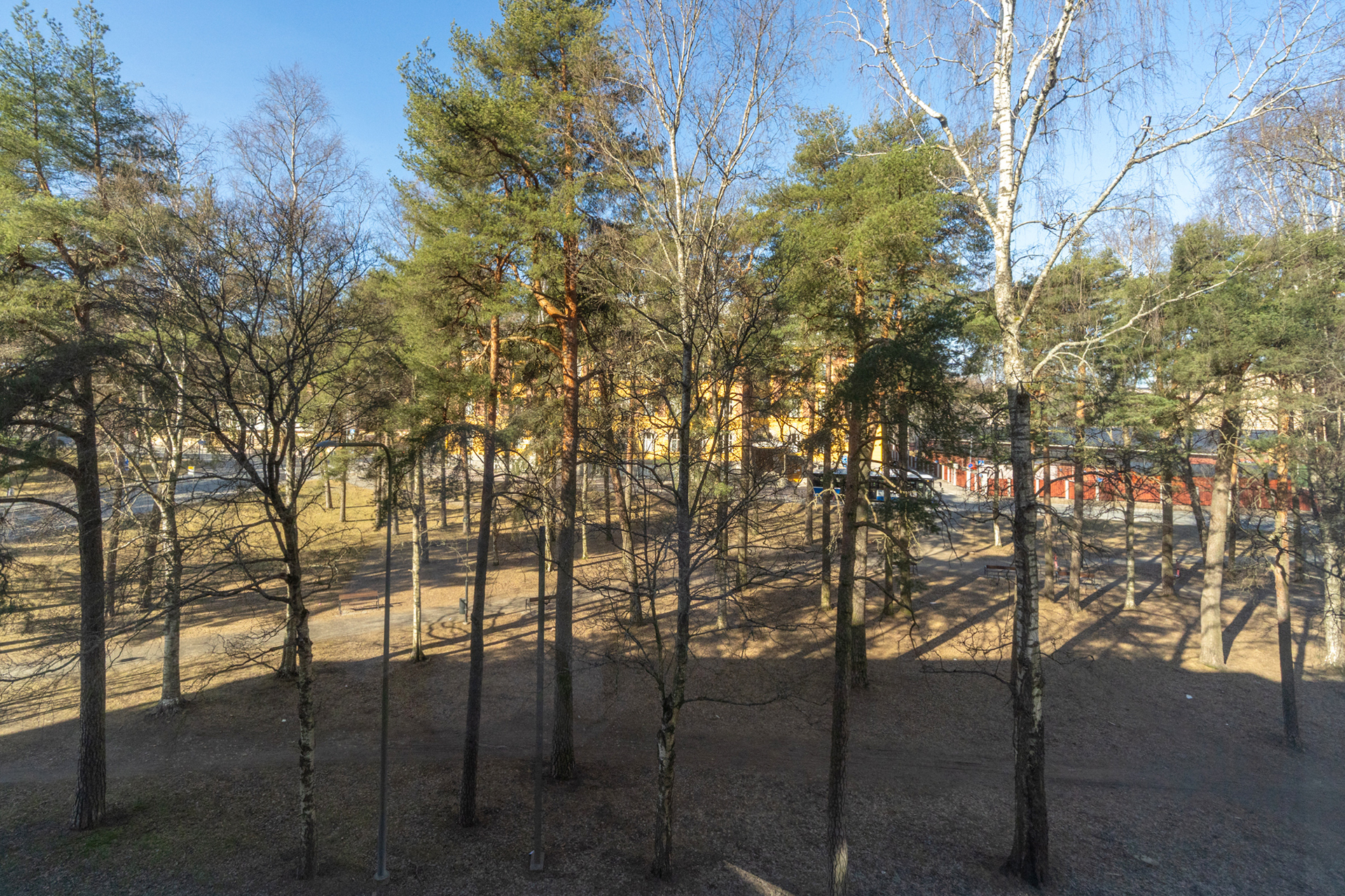 Ikkunasta puistonäkymät