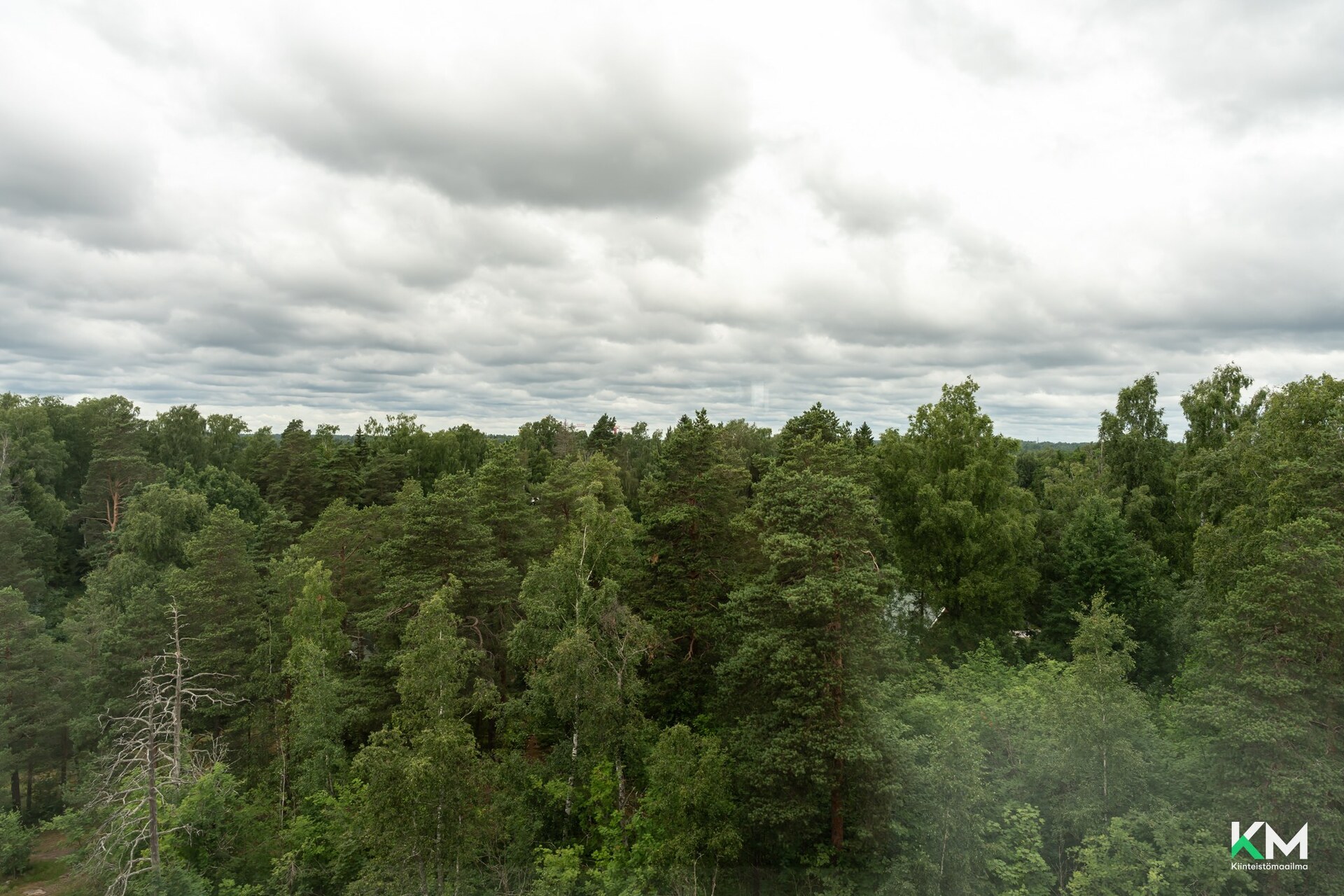 Otsonkallio 3, Tapiola, Espoo