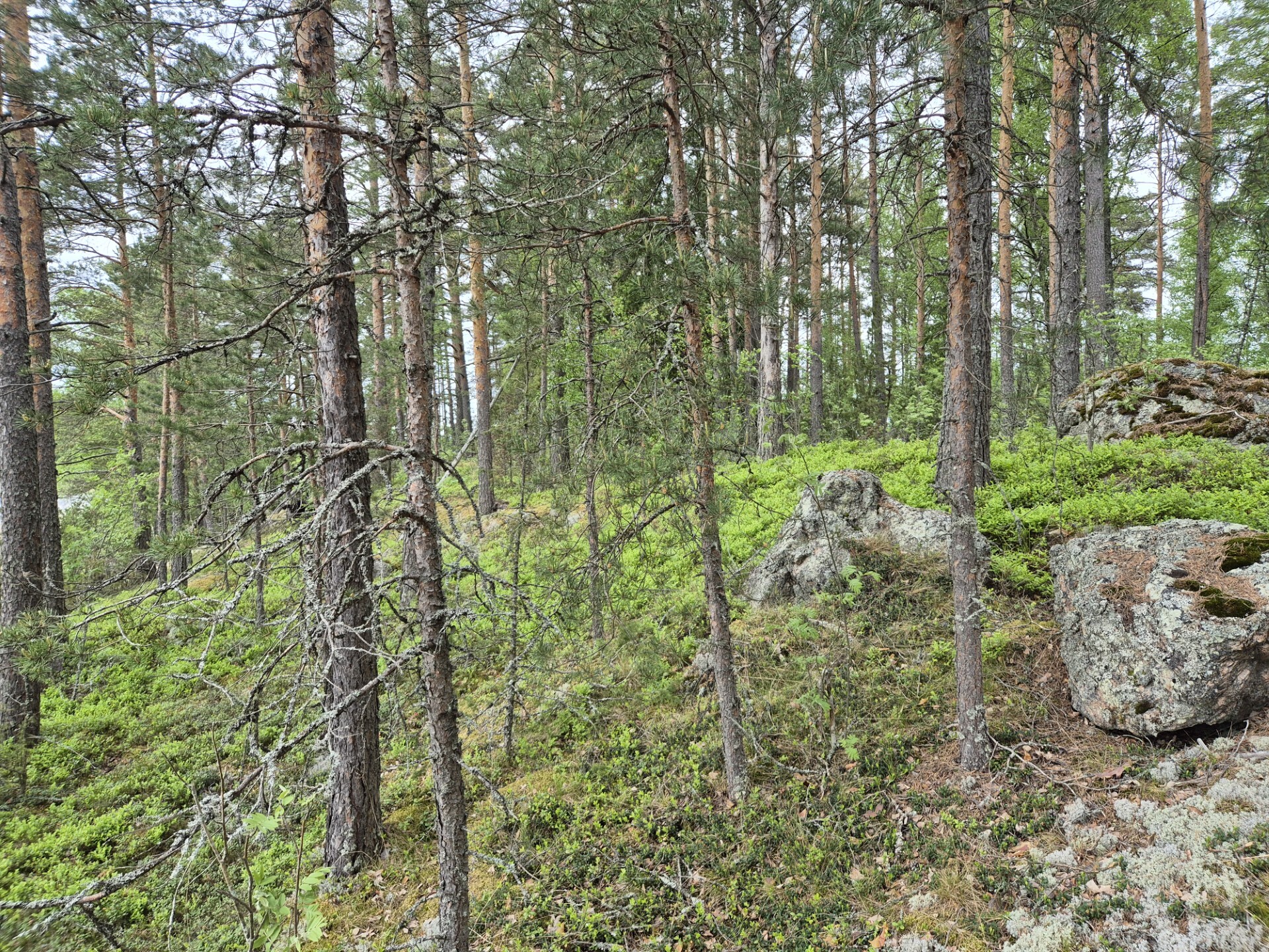 Ruuskopintie 85, Taipalsaari