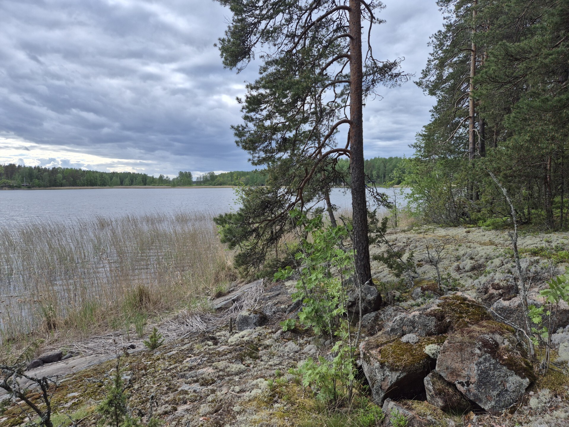 Ruuskopintie 85, Taipalsaari