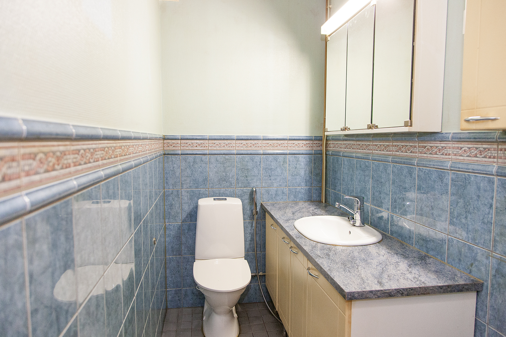 Erillinen wc