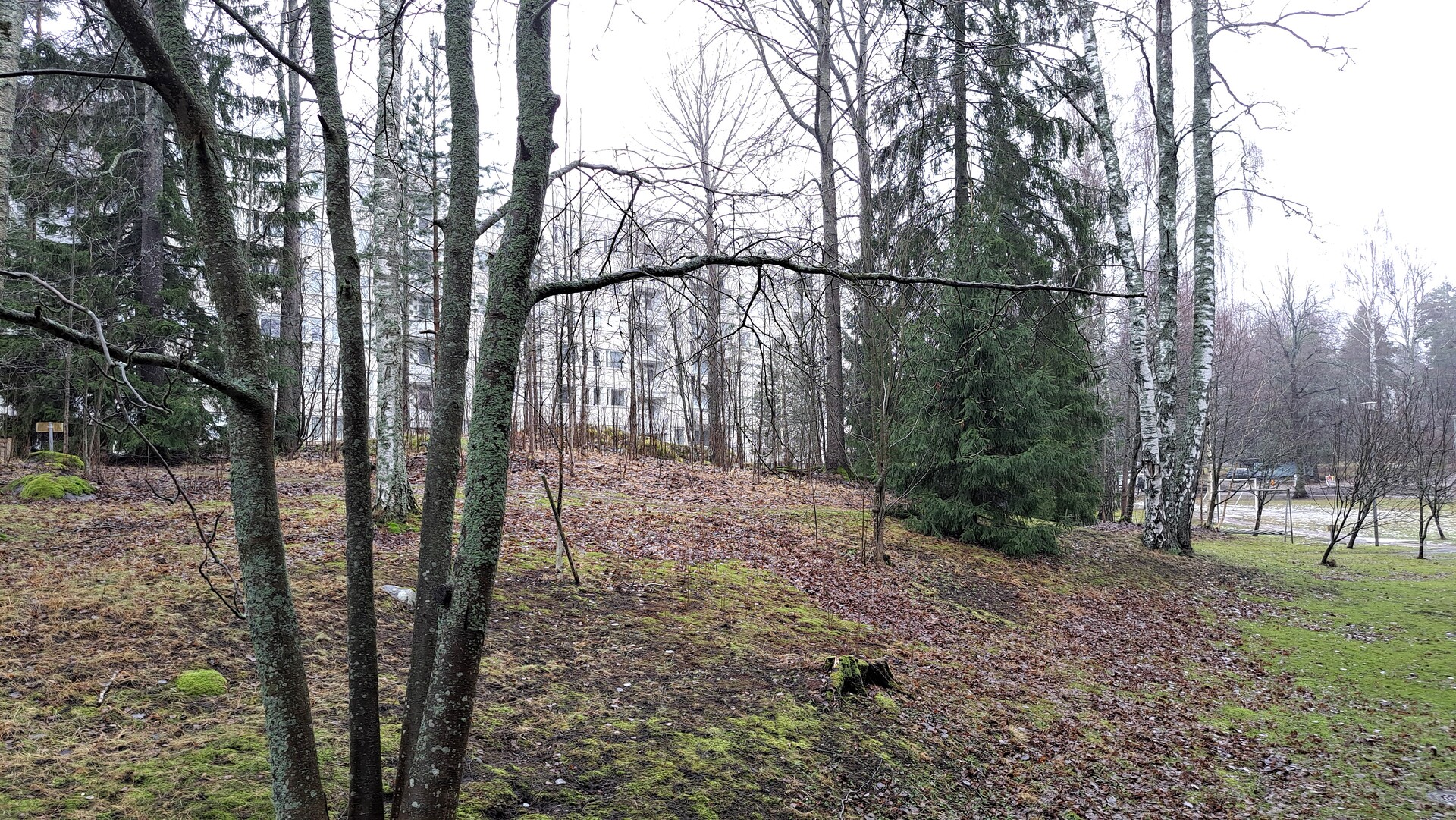 Hakamäki 4, Tapiola, Espoo