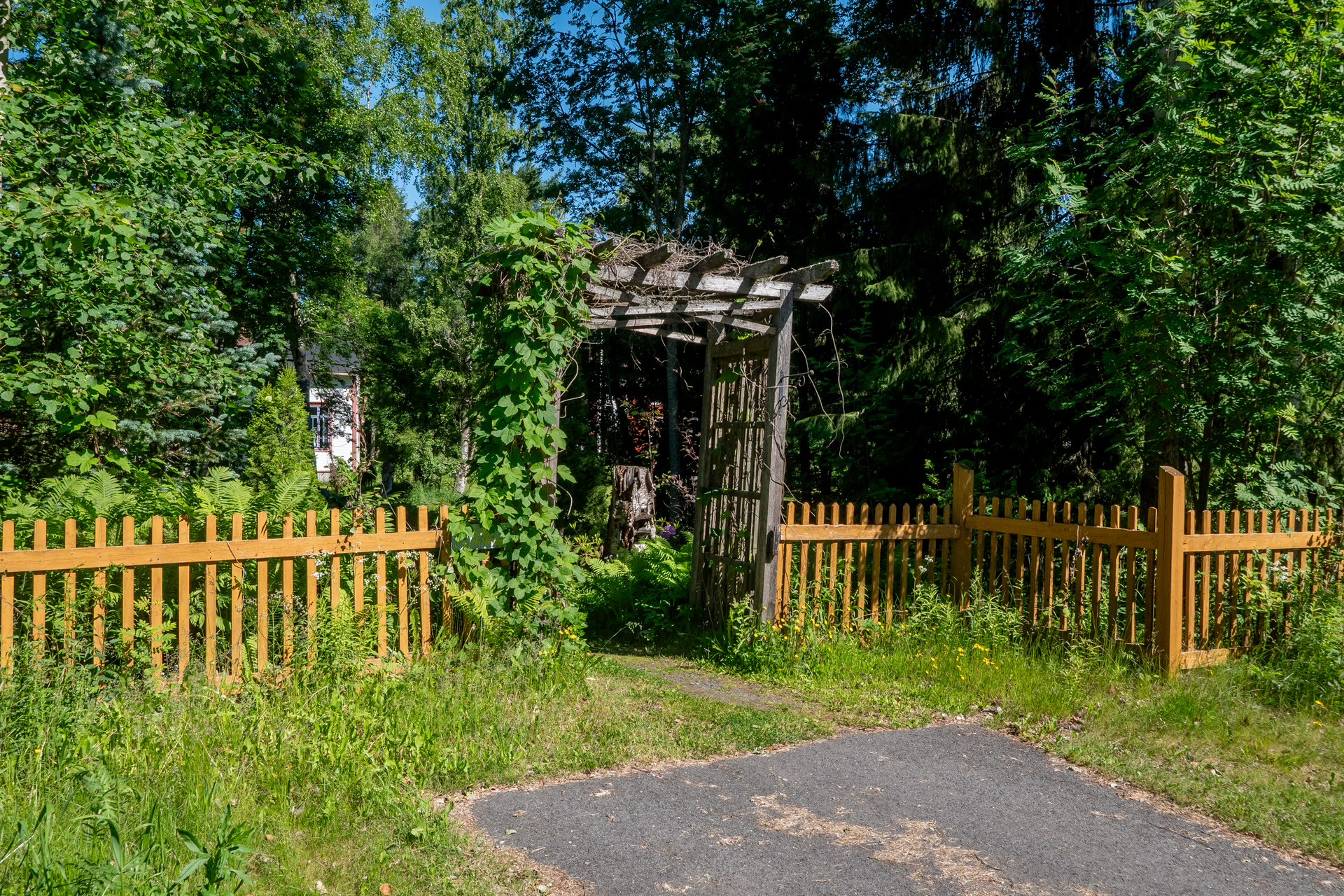 Sisääntulo "salaiseen puutarhaan" Villa Salmenrantaan