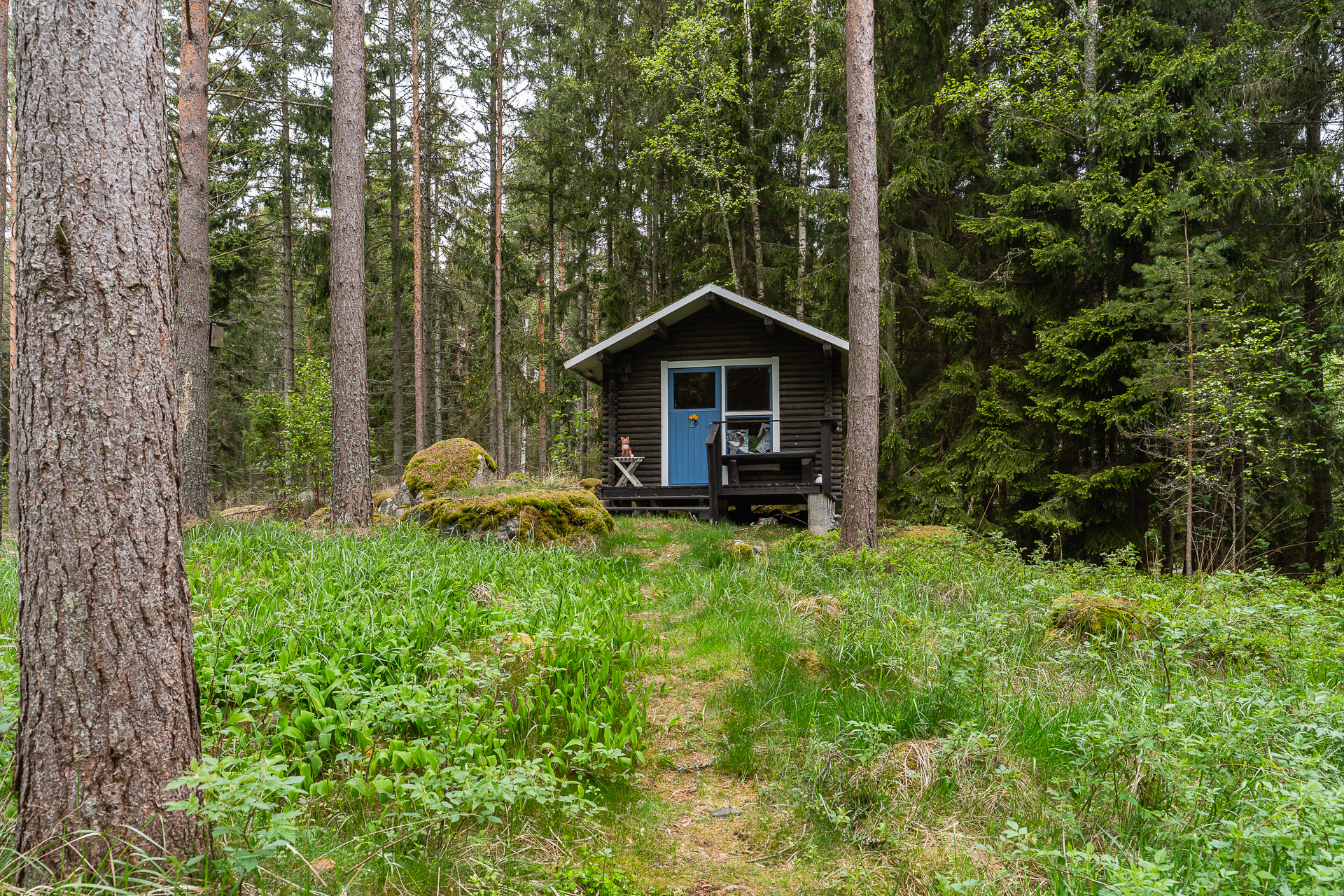 Vierasmökki