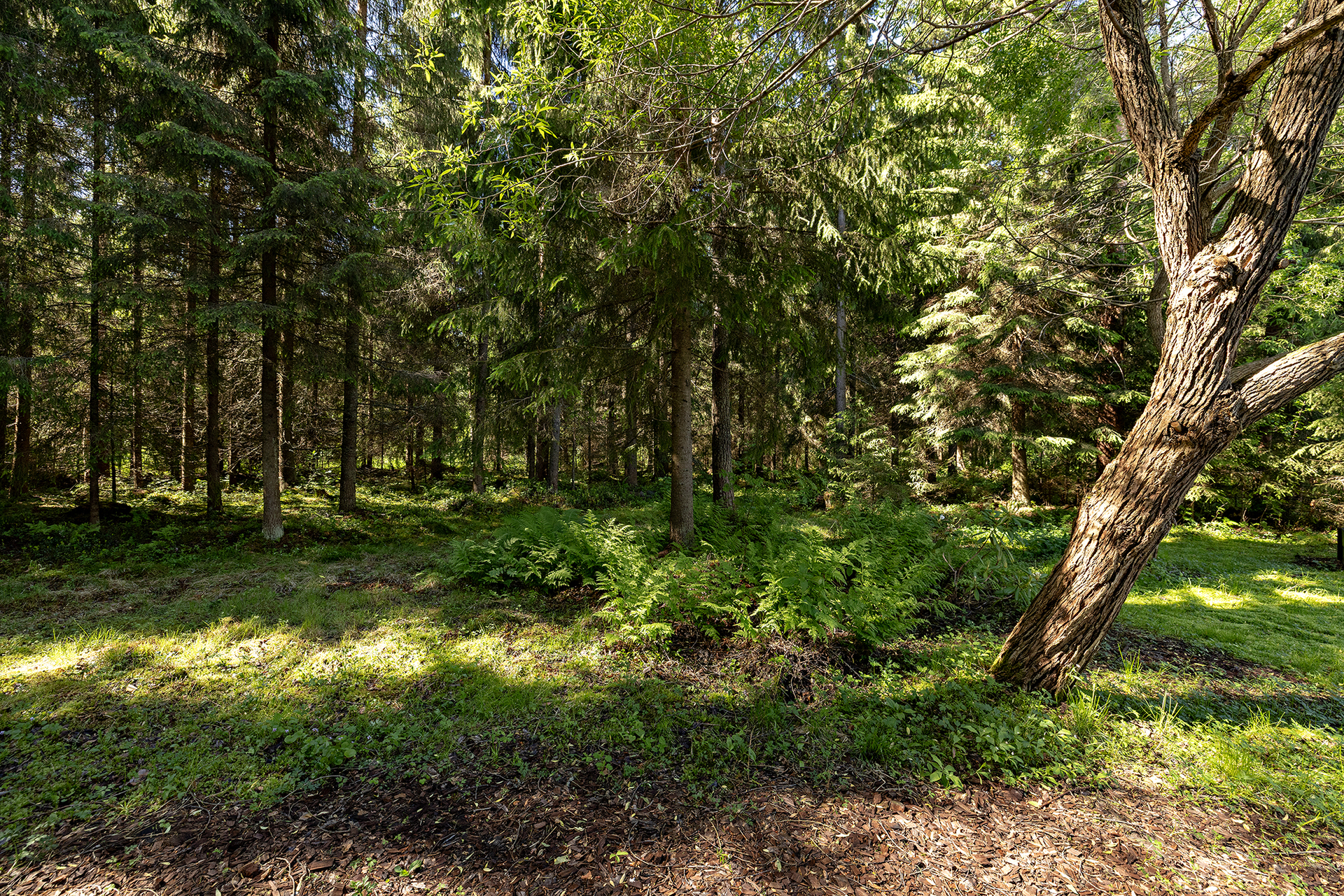 Salvostie 25, Jylkynkangas, Oulu