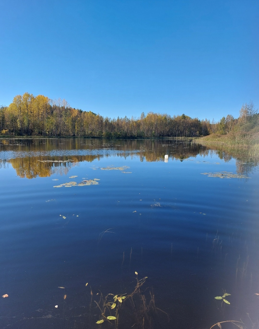 Pajapolku 47, Lohja