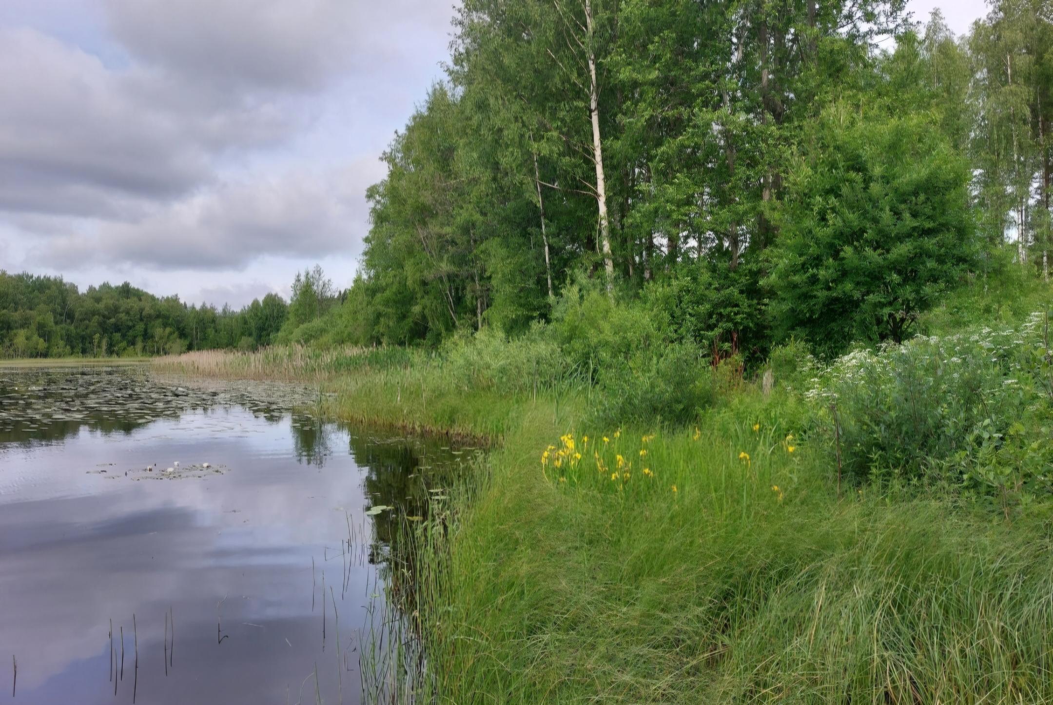 Pajapolku 47, Lohja