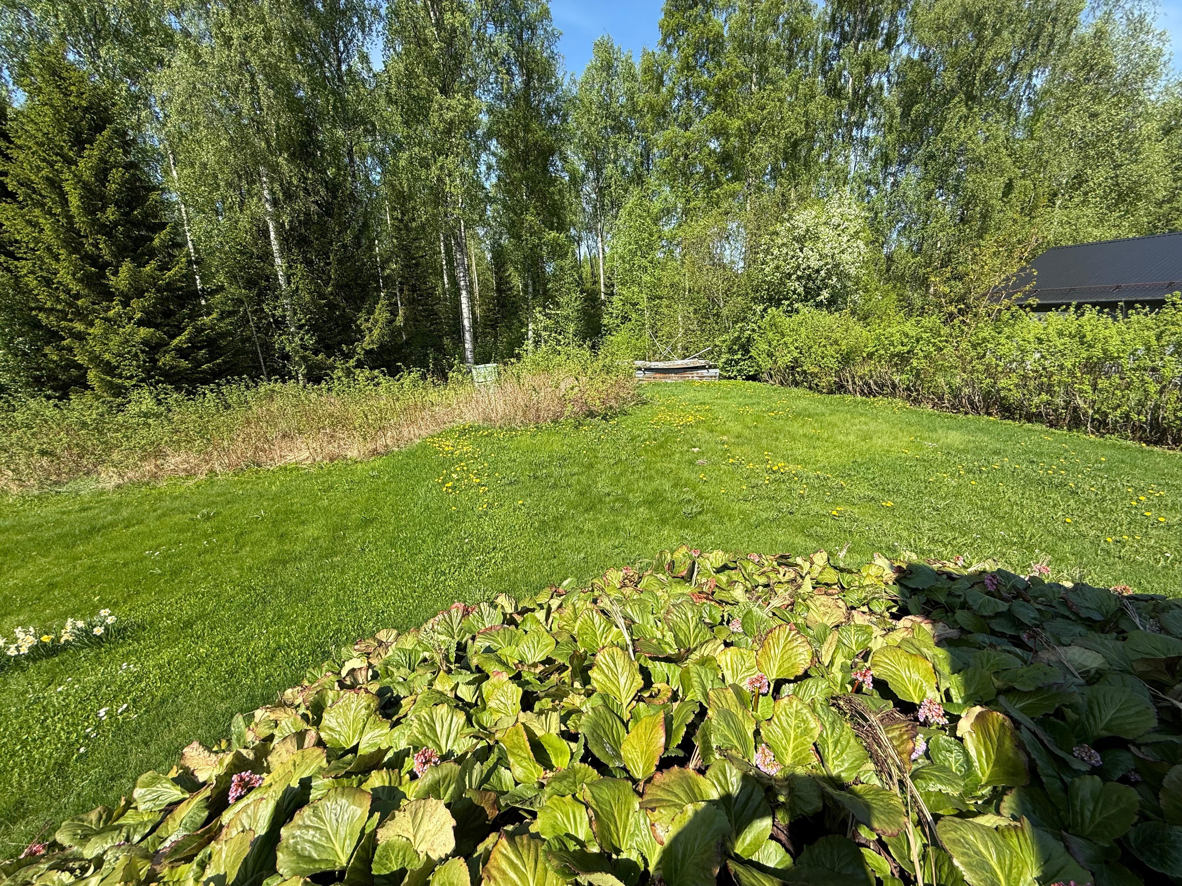 Metsärinteentie 36, Varkaus