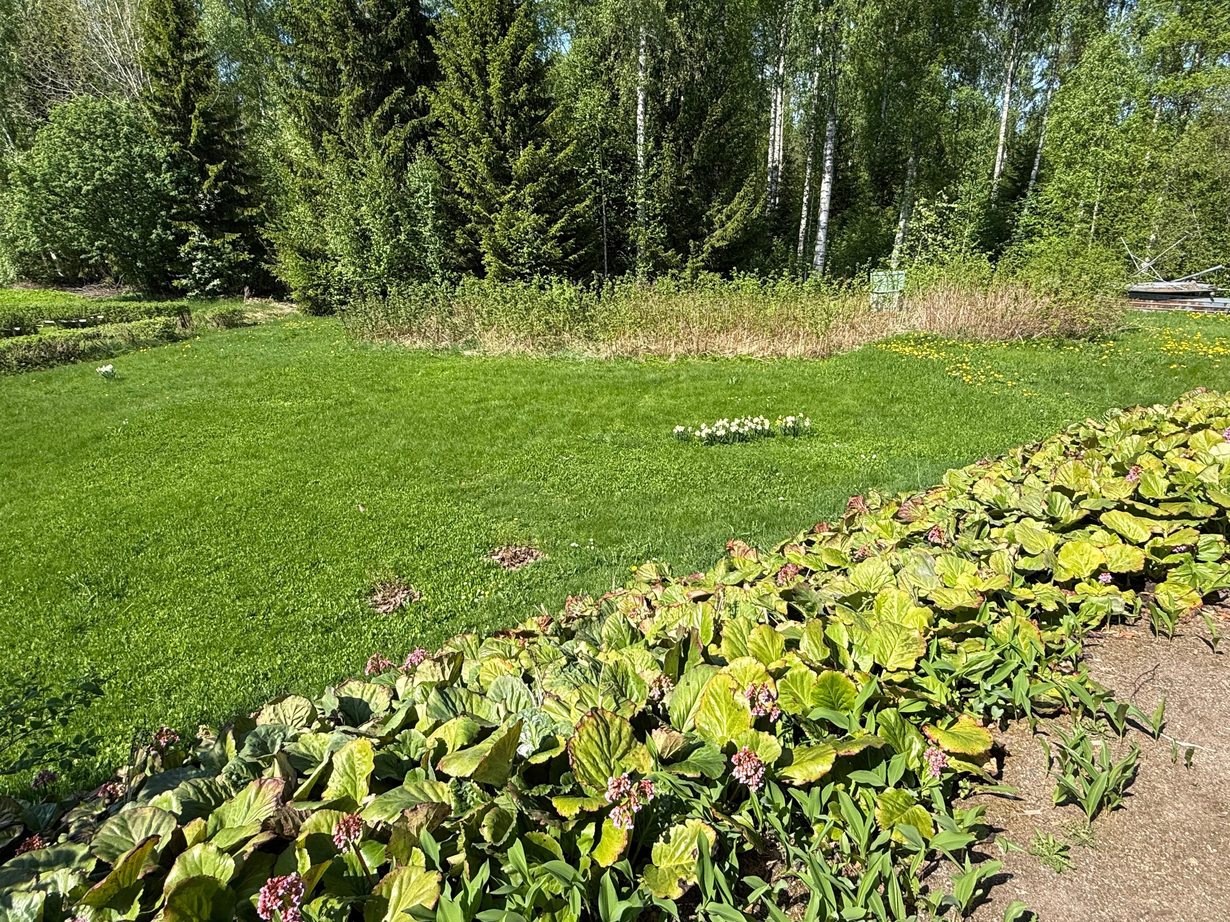 Metsärinteentie 36, Varkaus