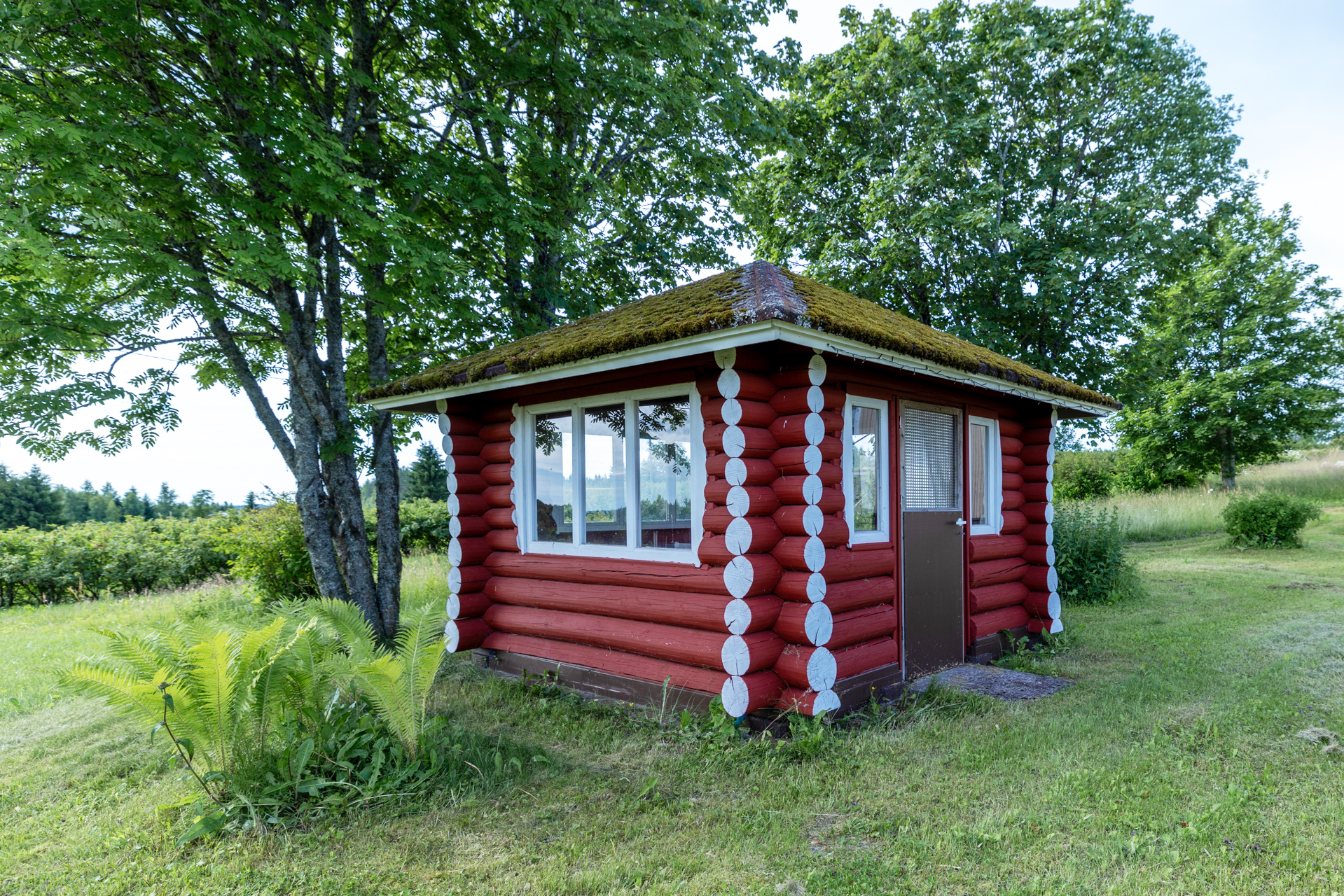 Tenkkelintie 343, Kutemajärvi, Kangasniemi