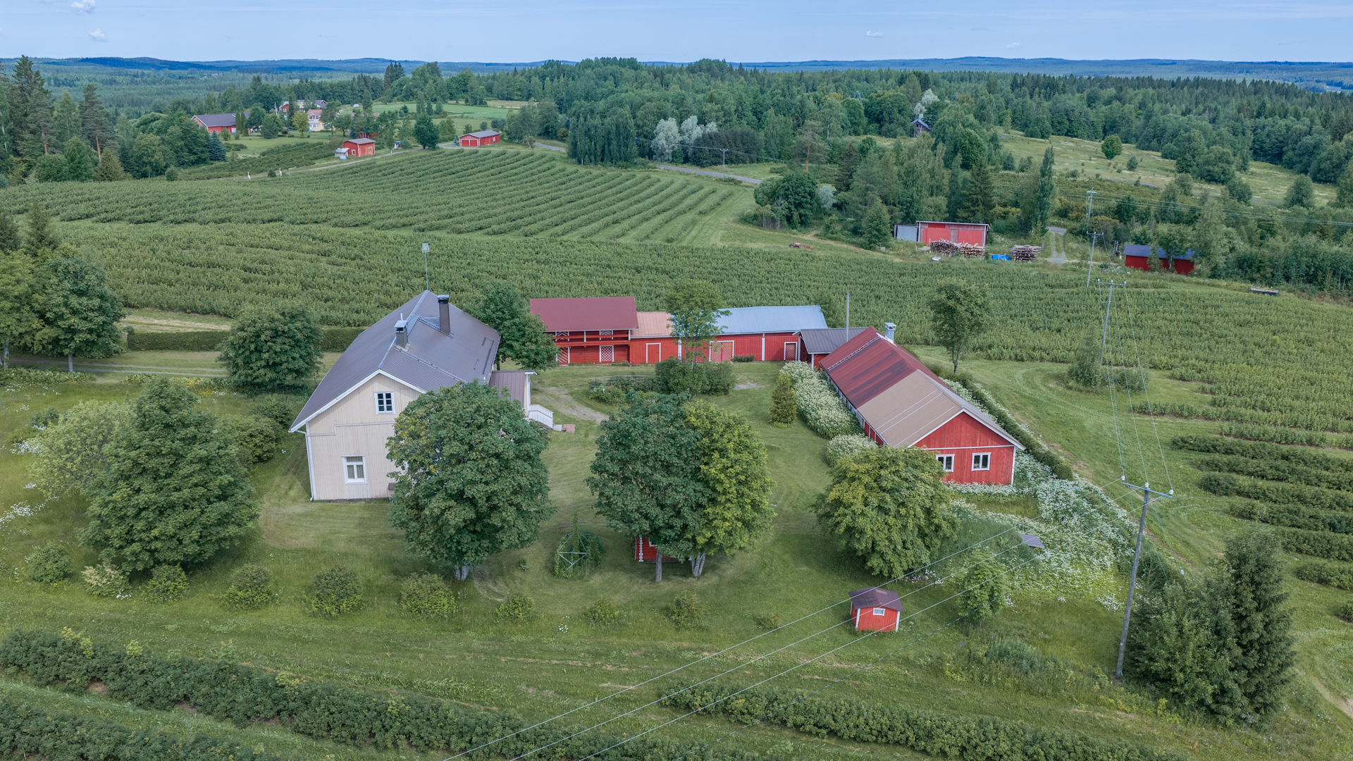 Tenkkelintie 343, Kutemajärvi, Kangasniemi