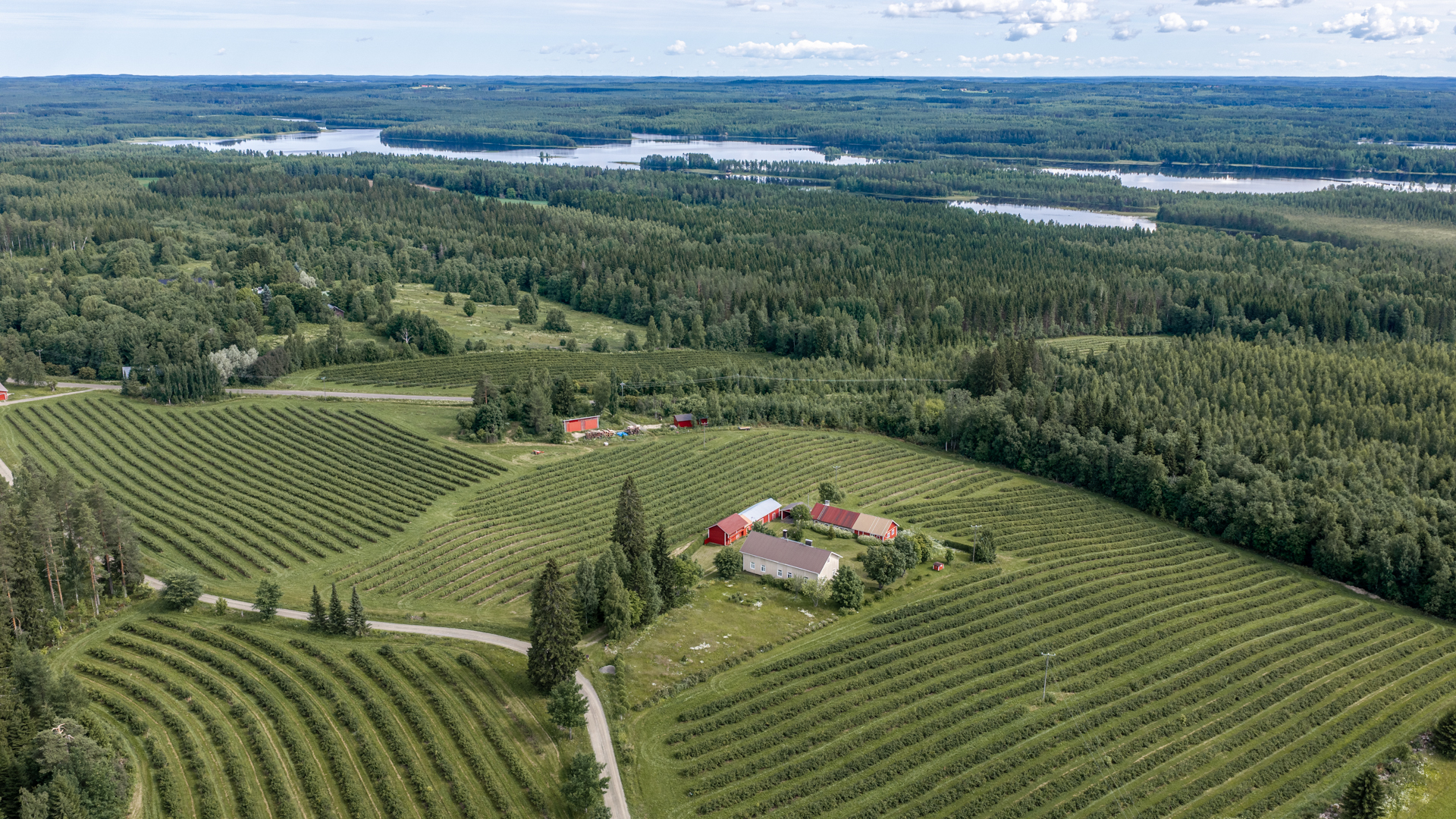 Tenkkelintie 343, Kutemajärvi, Kangasniemi
