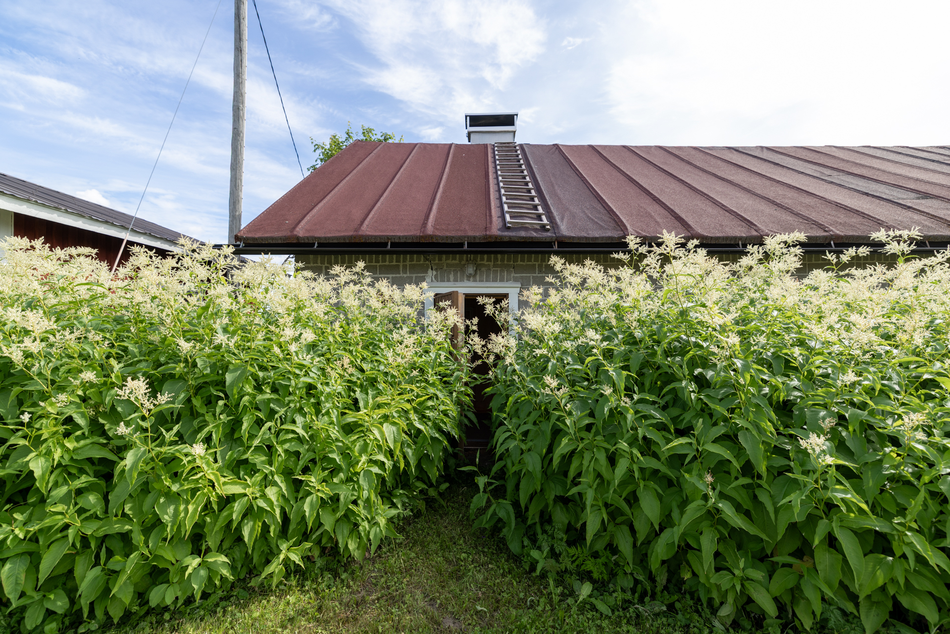 Tenkkelintie 343, Kutemajärvi, Kangasniemi