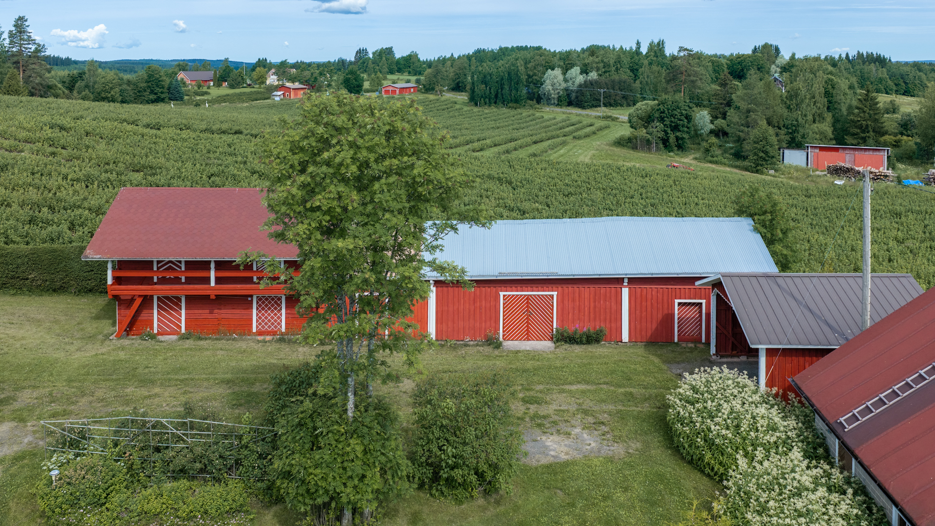 Tenkkelintie 343, Kutemajärvi, Kangasniemi