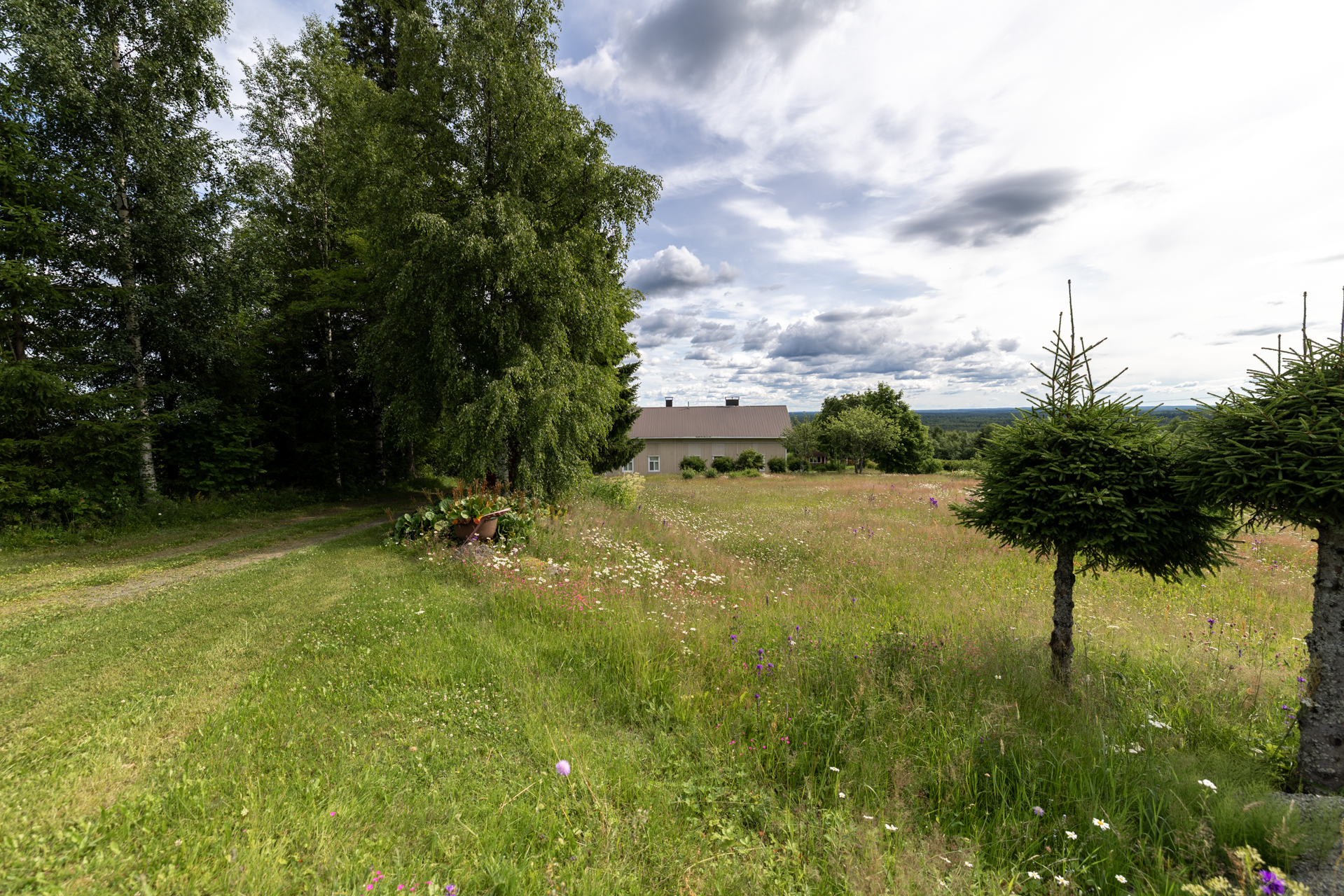 Tenkkelintie 343, Kutemajärvi, Kangasniemi