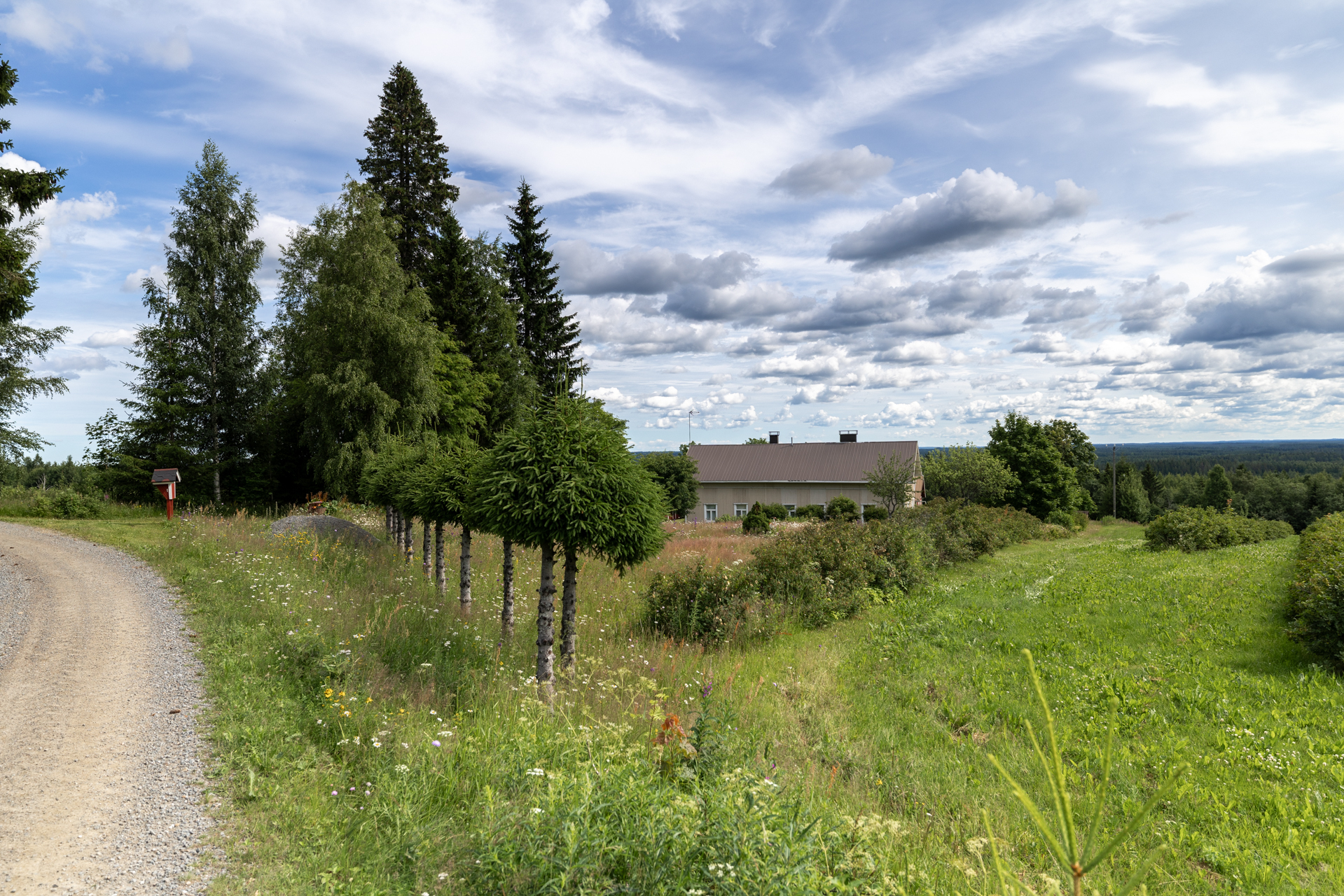 Tenkkelintie 343, Kutemajärvi, Kangasniemi
