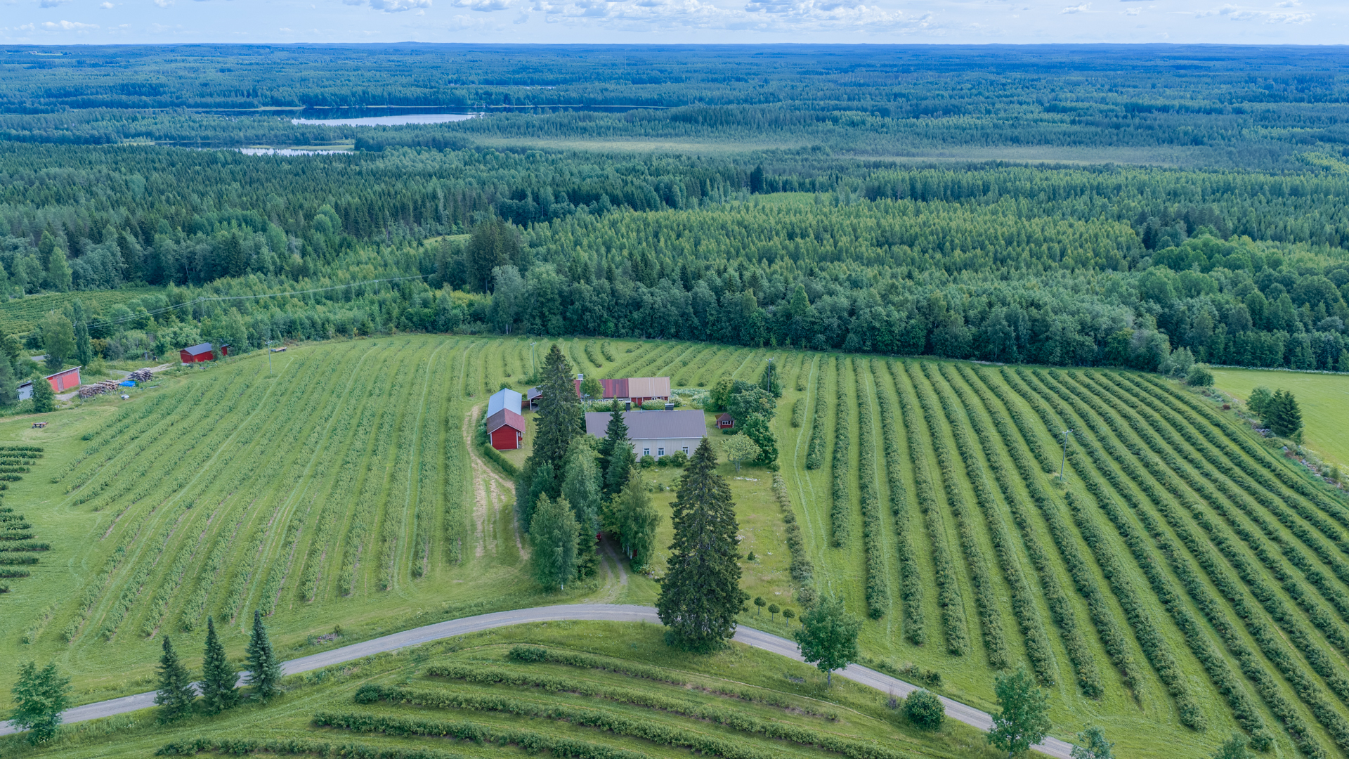 Tenkkelintie 343, Kutemajärvi, Kangasniemi