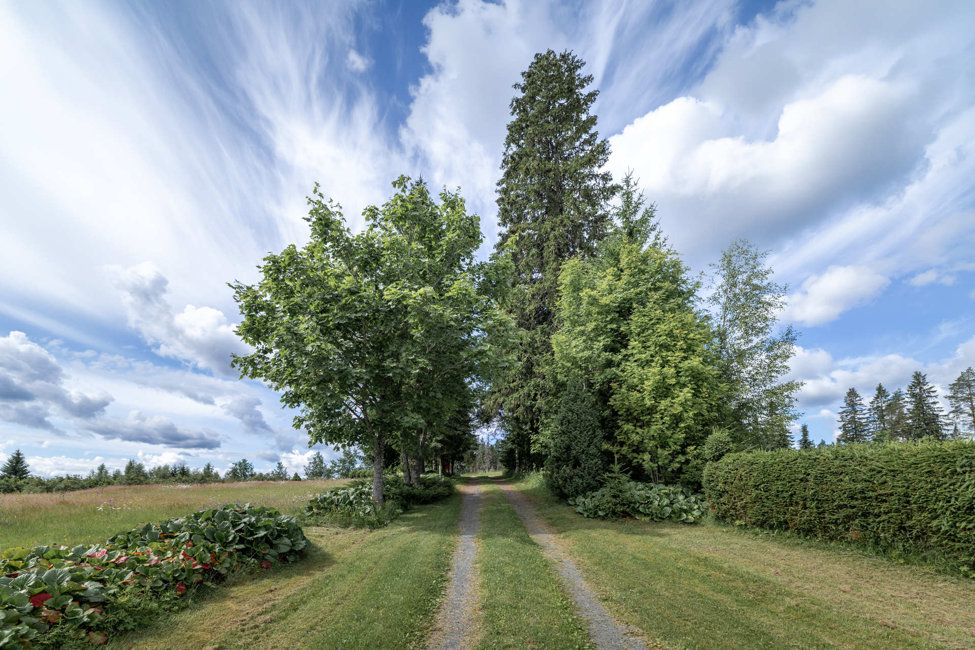 Tenkkelintie 343, Kutemajärvi, Kangasniemi