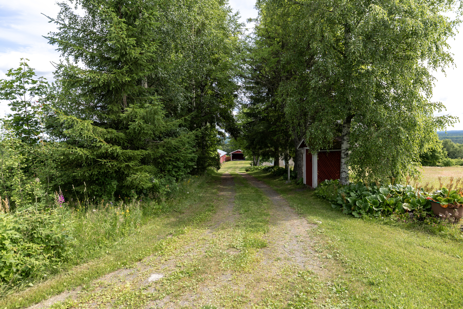 Tenkkelintie 343, Kutemajärvi, Kangasniemi