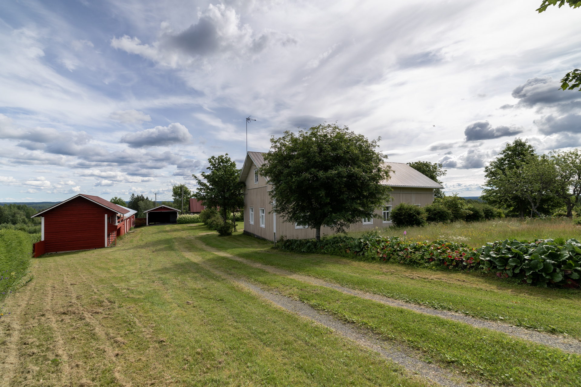 Tenkkelintie 343, Kutemajärvi, Kangasniemi