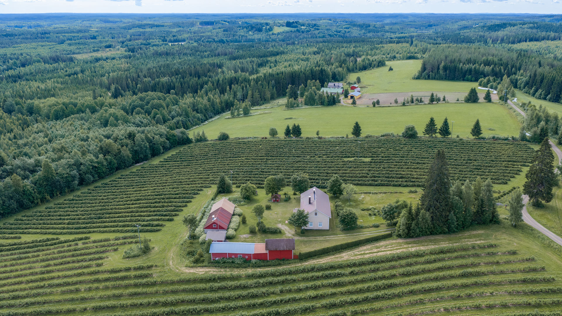 Tenkkelintie 343, Kutemajärvi, Kangasniemi