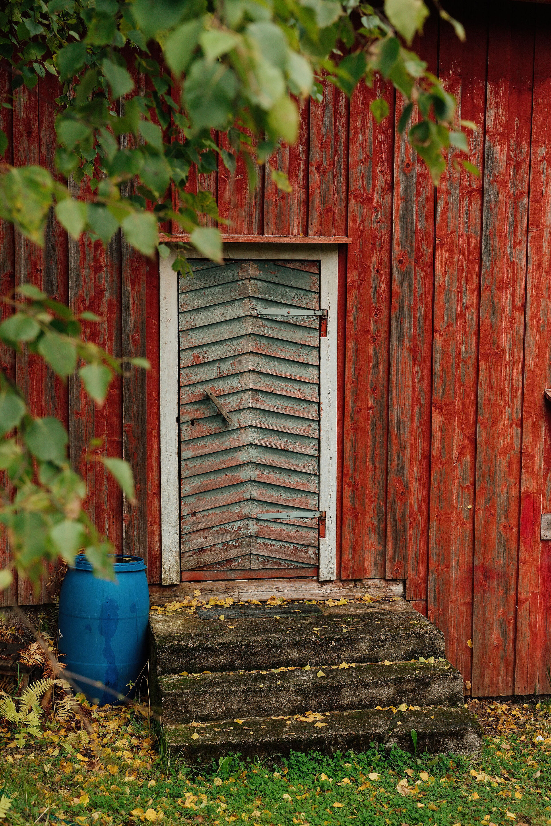Pihasauna ovi