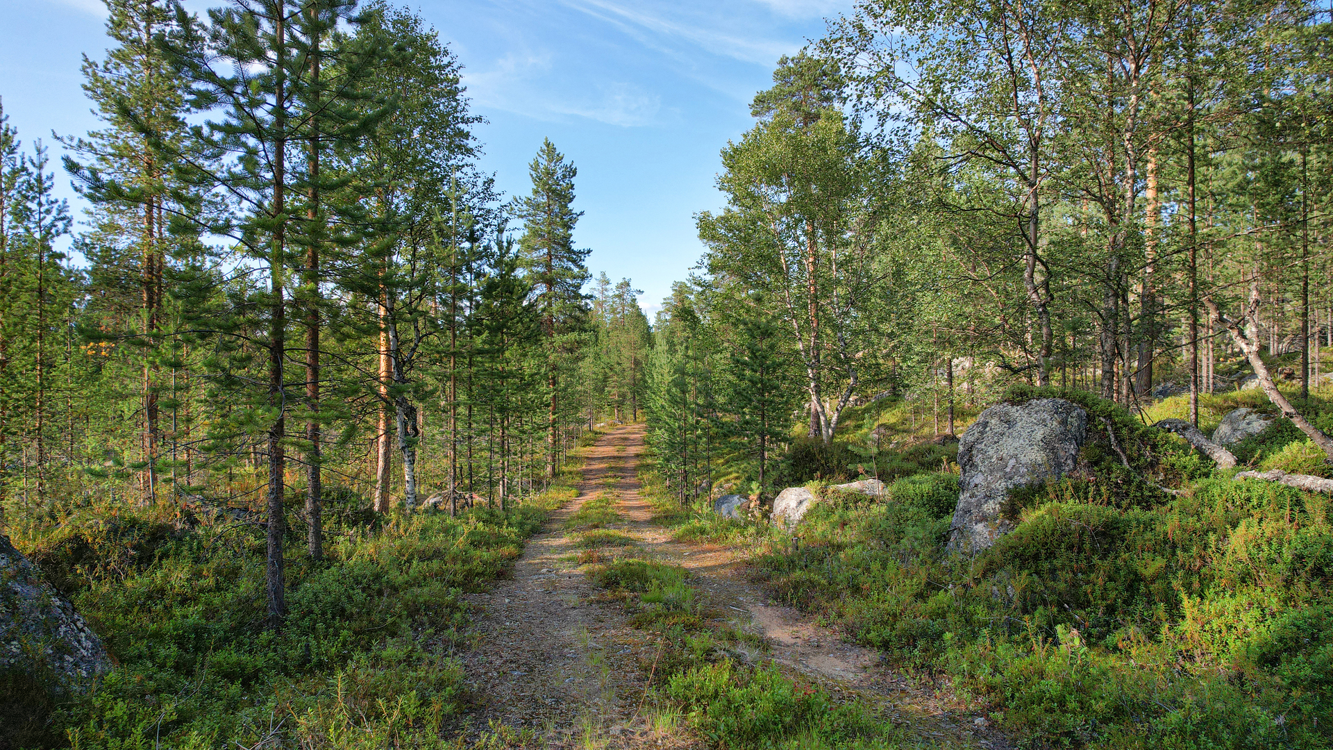 Metsätie