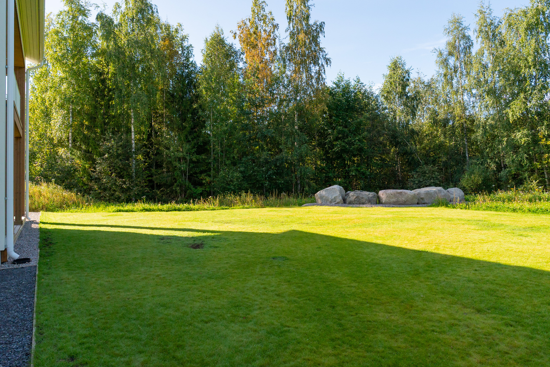 Takapiha rajoittuu lähimetsään