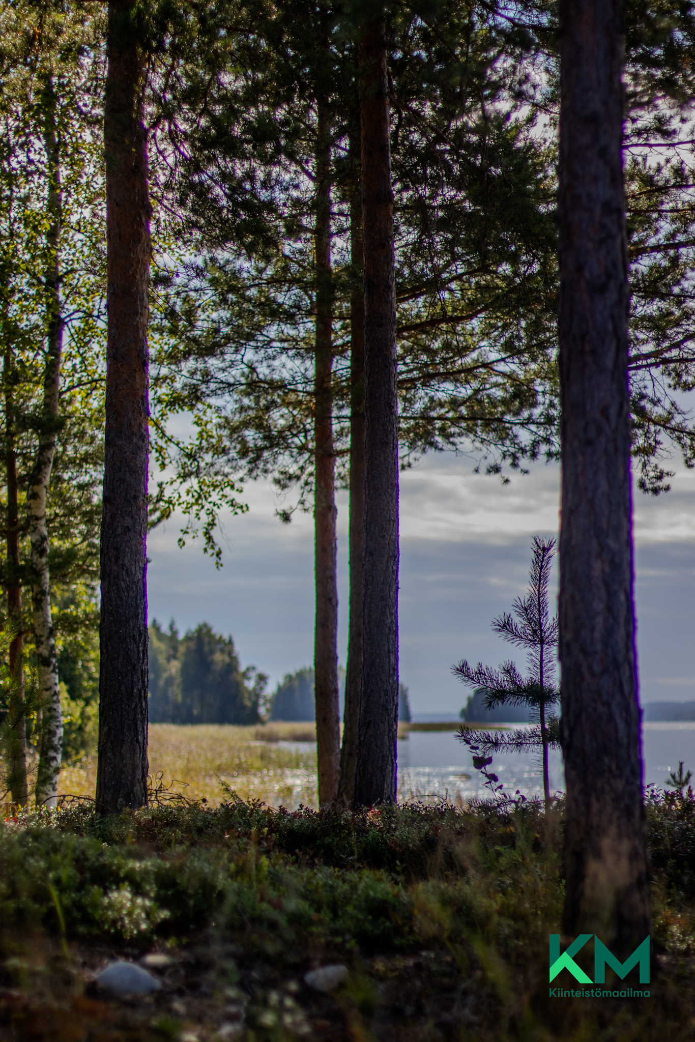 Kaitasaarentie 140, Vaahersalo, Rantasalmi