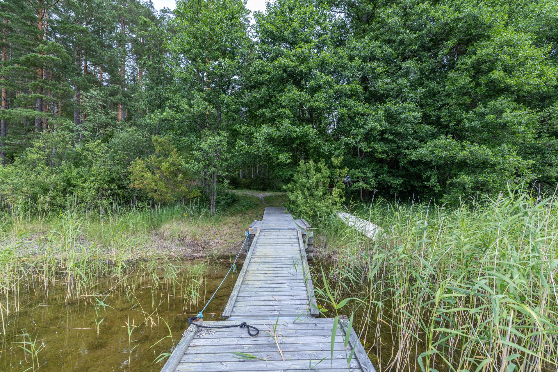 Valkamaranta 22 (HUSUSAARI), Anttola
