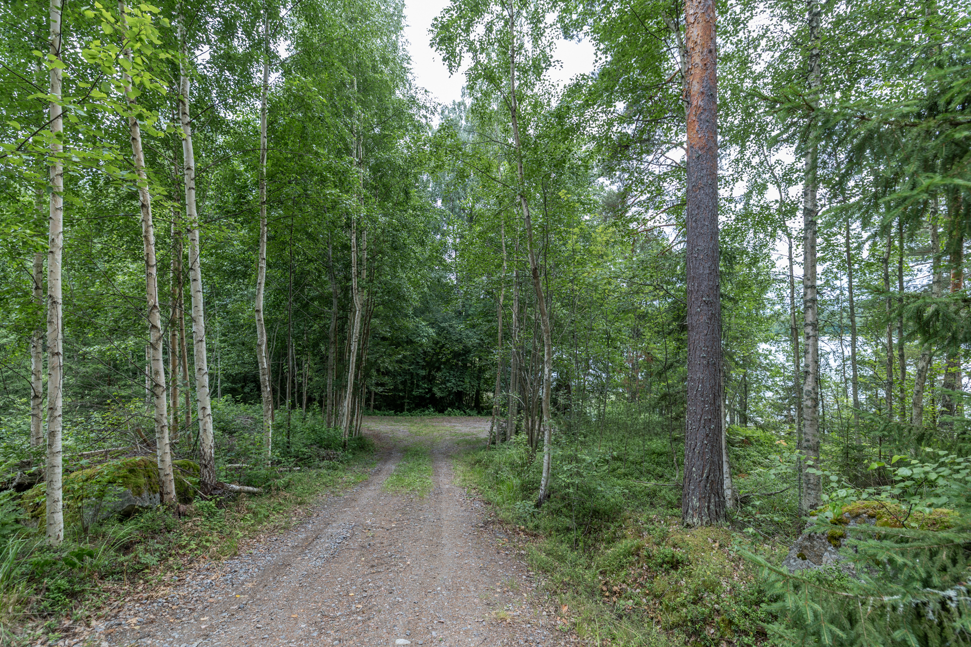 Valkamaranta 22 (HUSUSAARI), Anttola