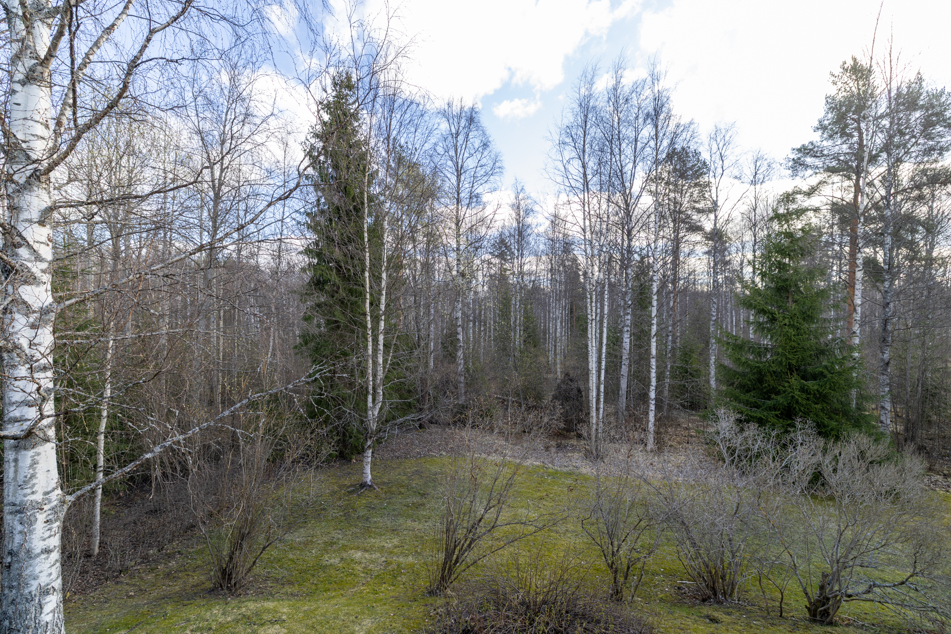 Luhtikuja 2, Emola, Mikkeli