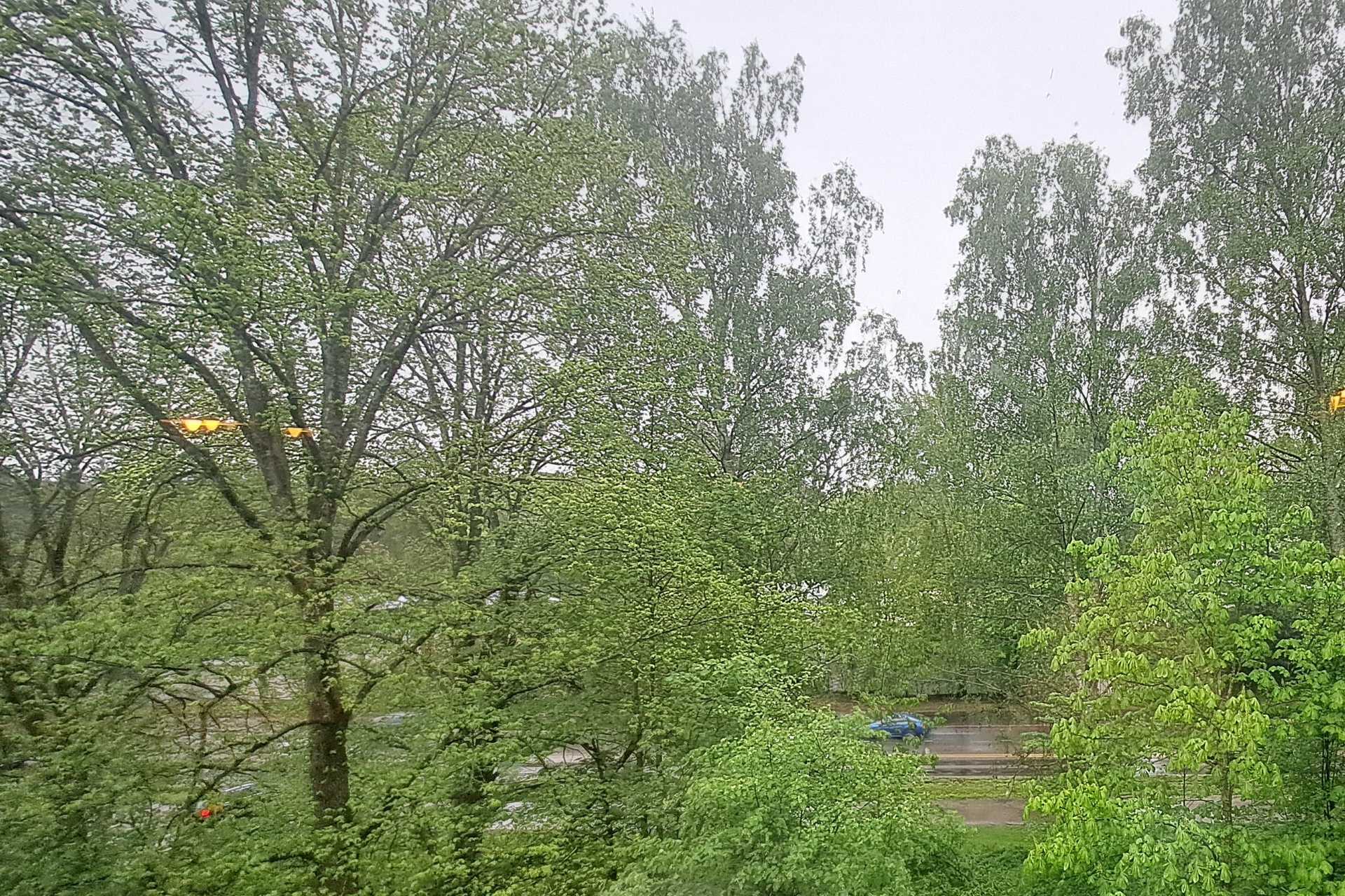 näkymää ikkunasta
