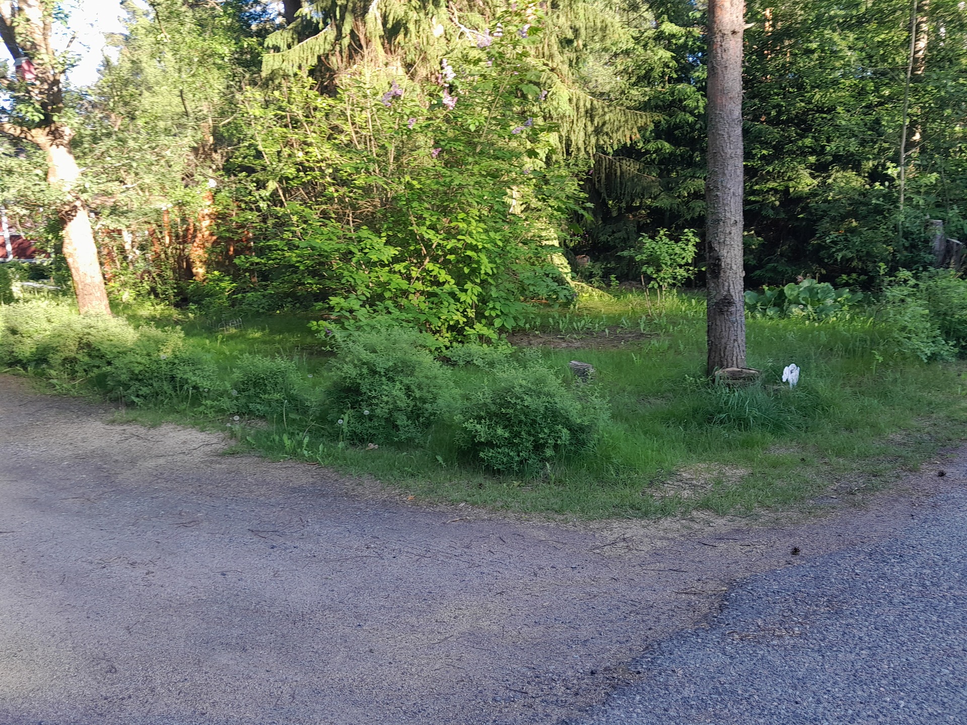 Vesikkotie 11b, Metsola, Vantaa