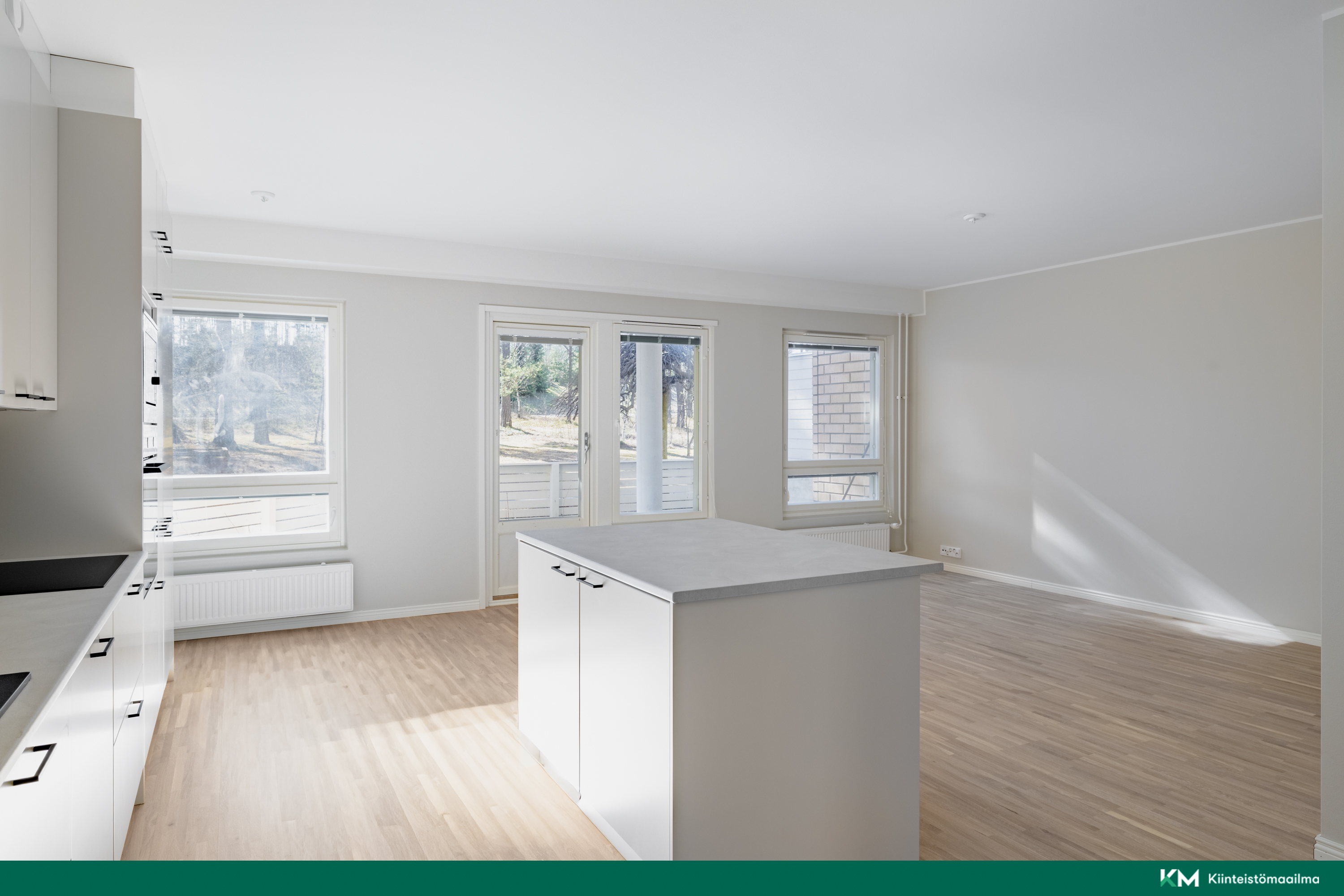 Avara ja valoisa olohuone/avokeittiö 