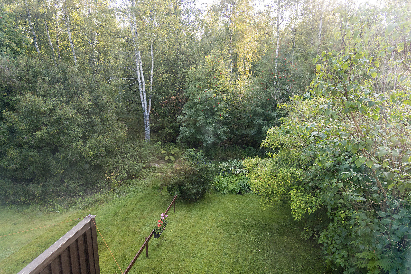 Puistomainen kesäympäristö