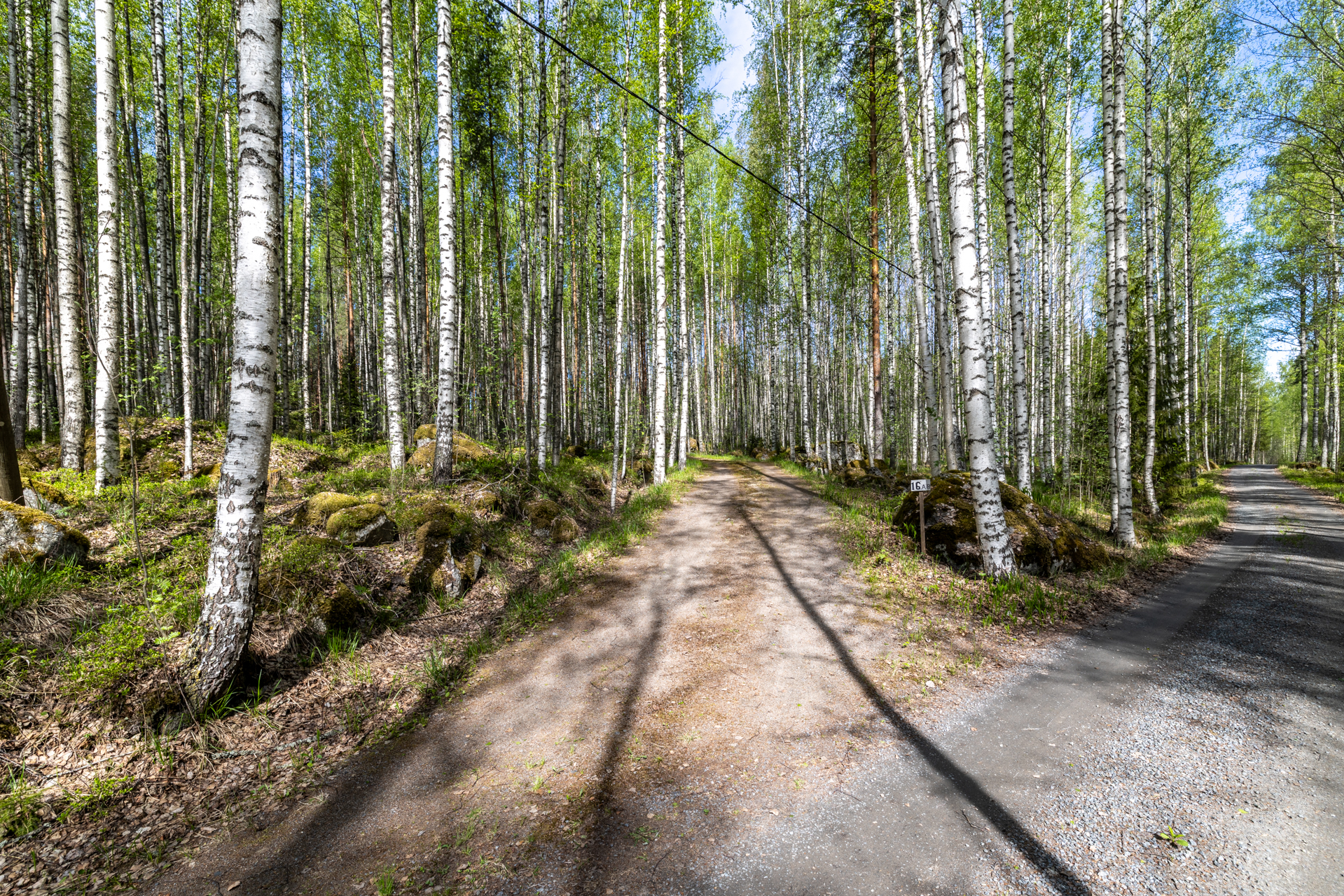 Niementie 16 A, Väisälänsaari, Hirvensalmi