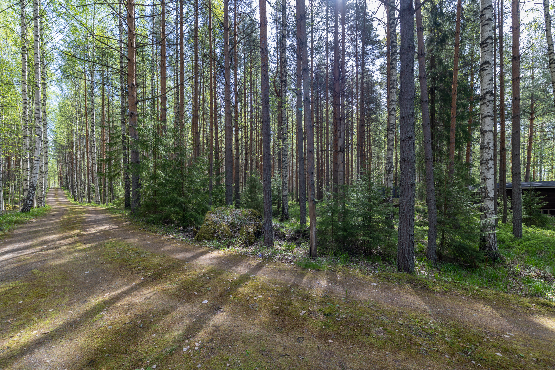 Niementie 16 A, Väisälänsaari, Hirvensalmi