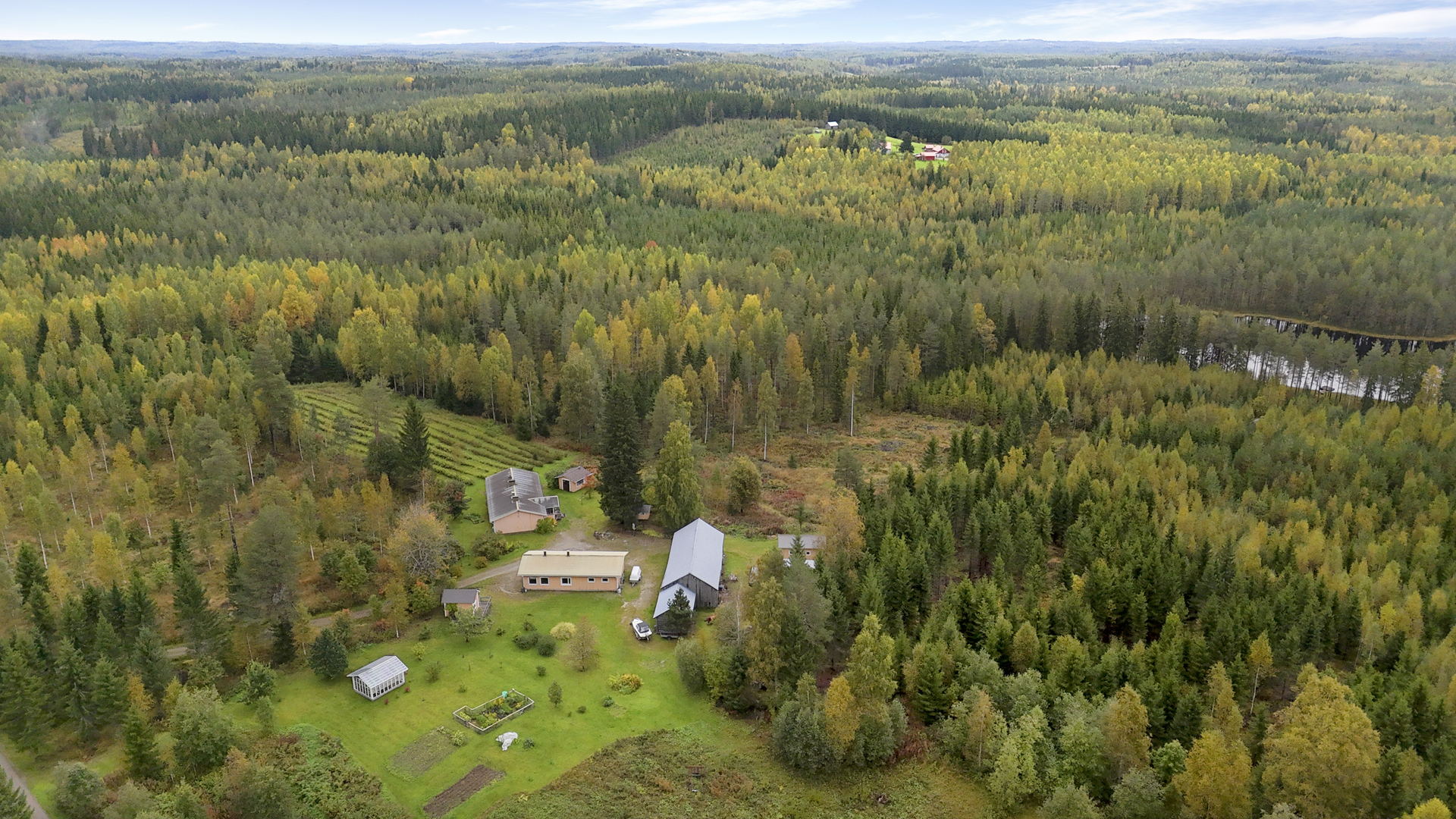 Niemeläntie 8, Kovero, Joensuu