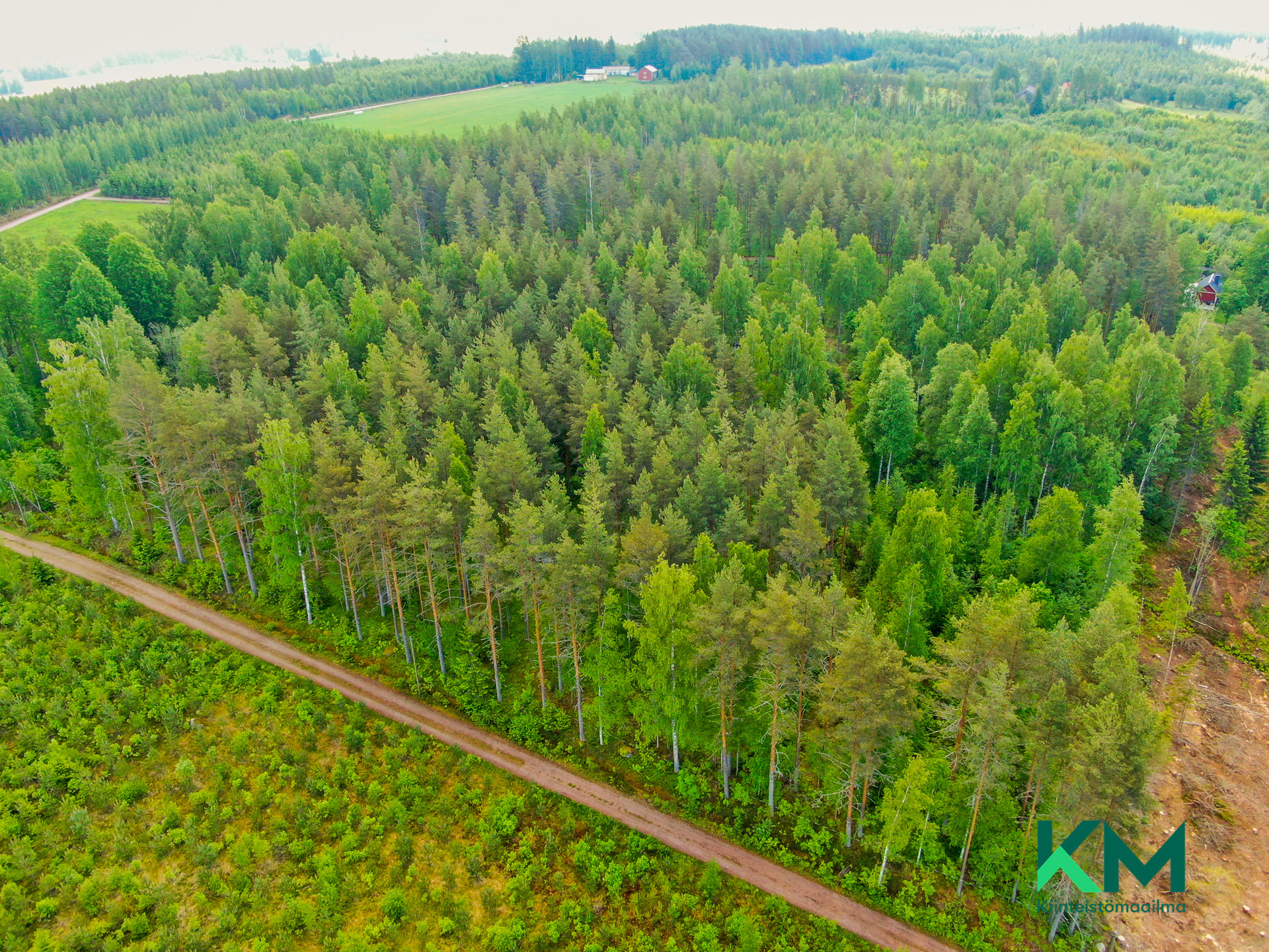 Pohjoisesta kuvattuna