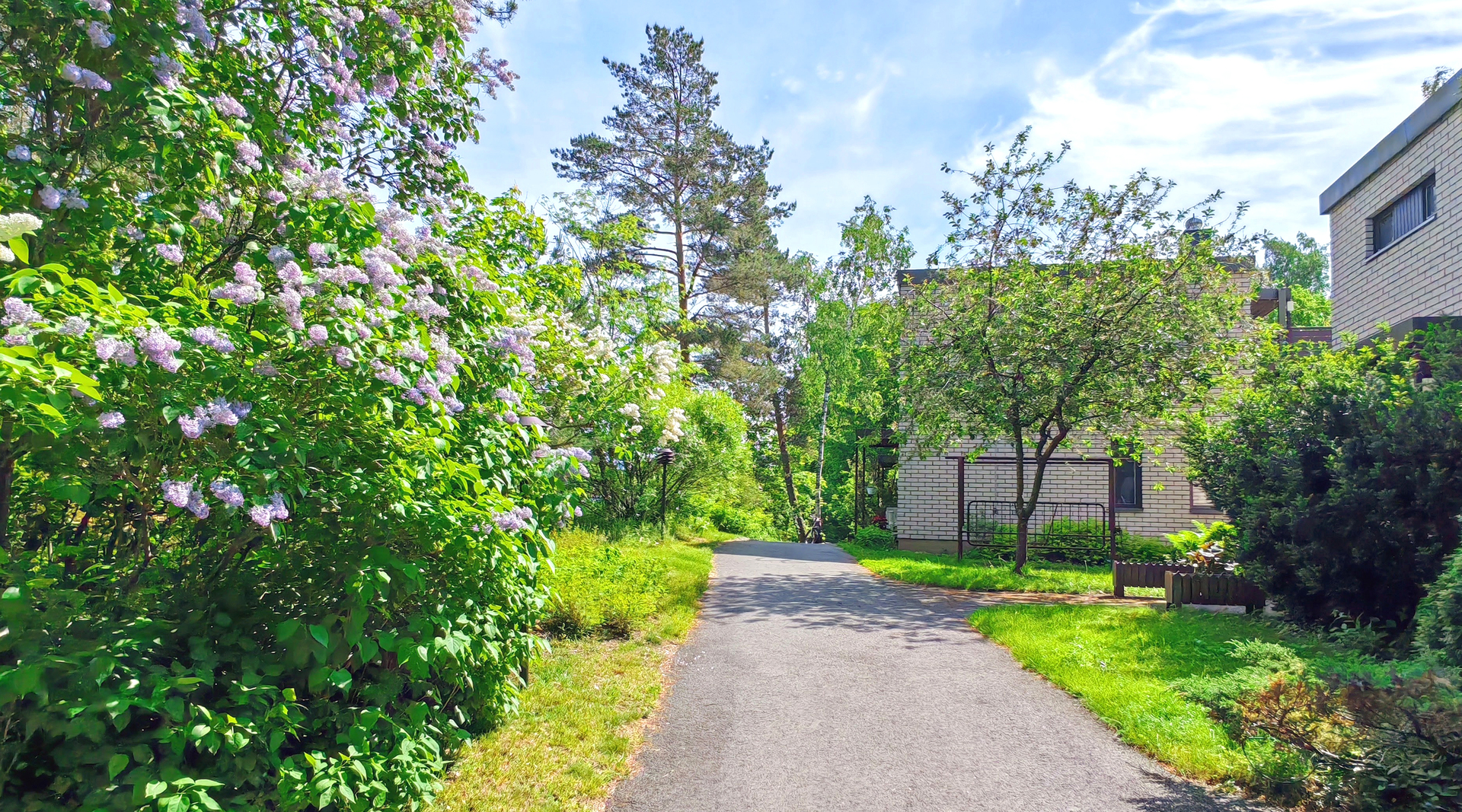 Taloyhtiön piha kesällä
