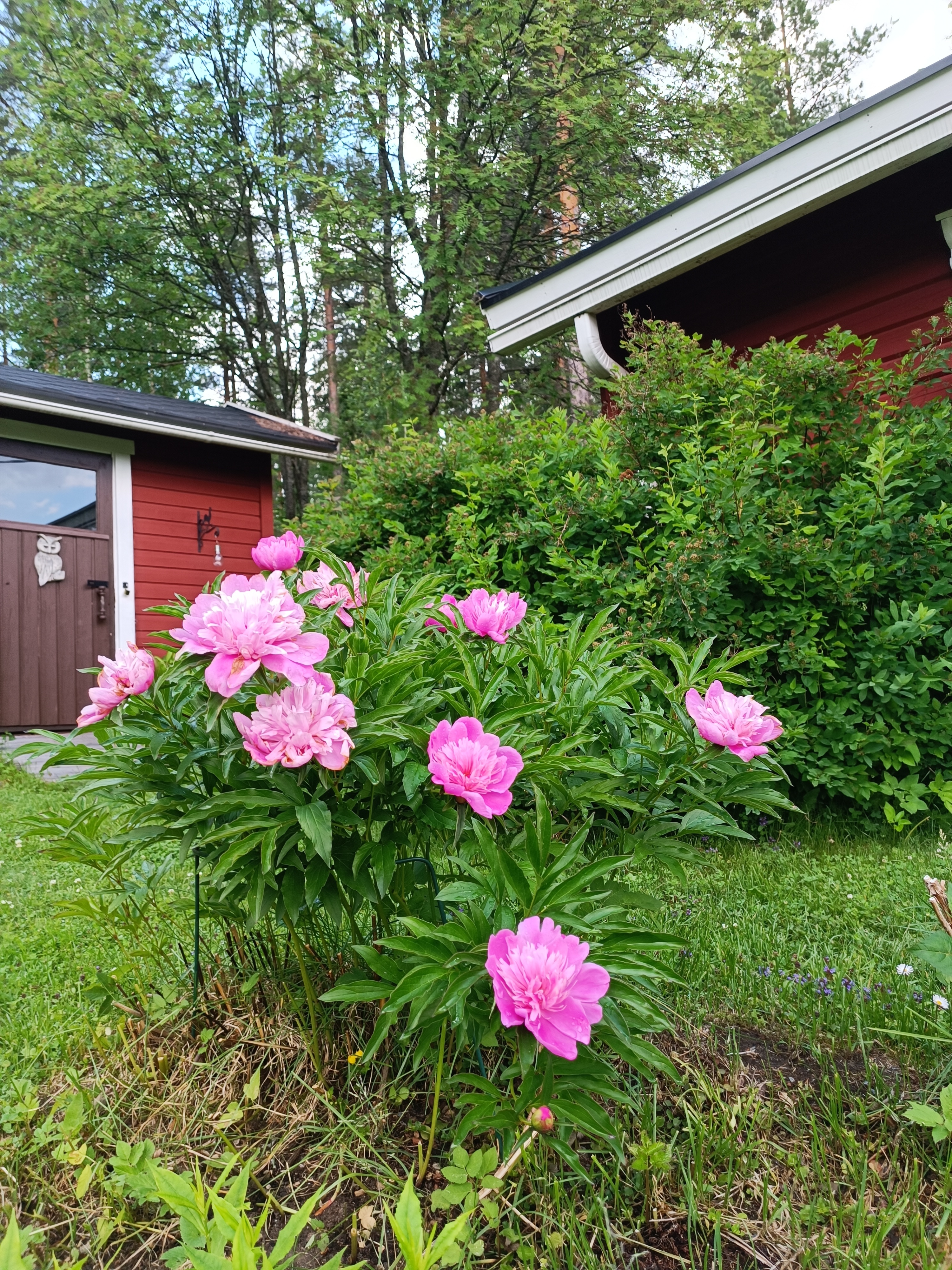 Siemenkodantie 6, Tikkala, Mikkeli